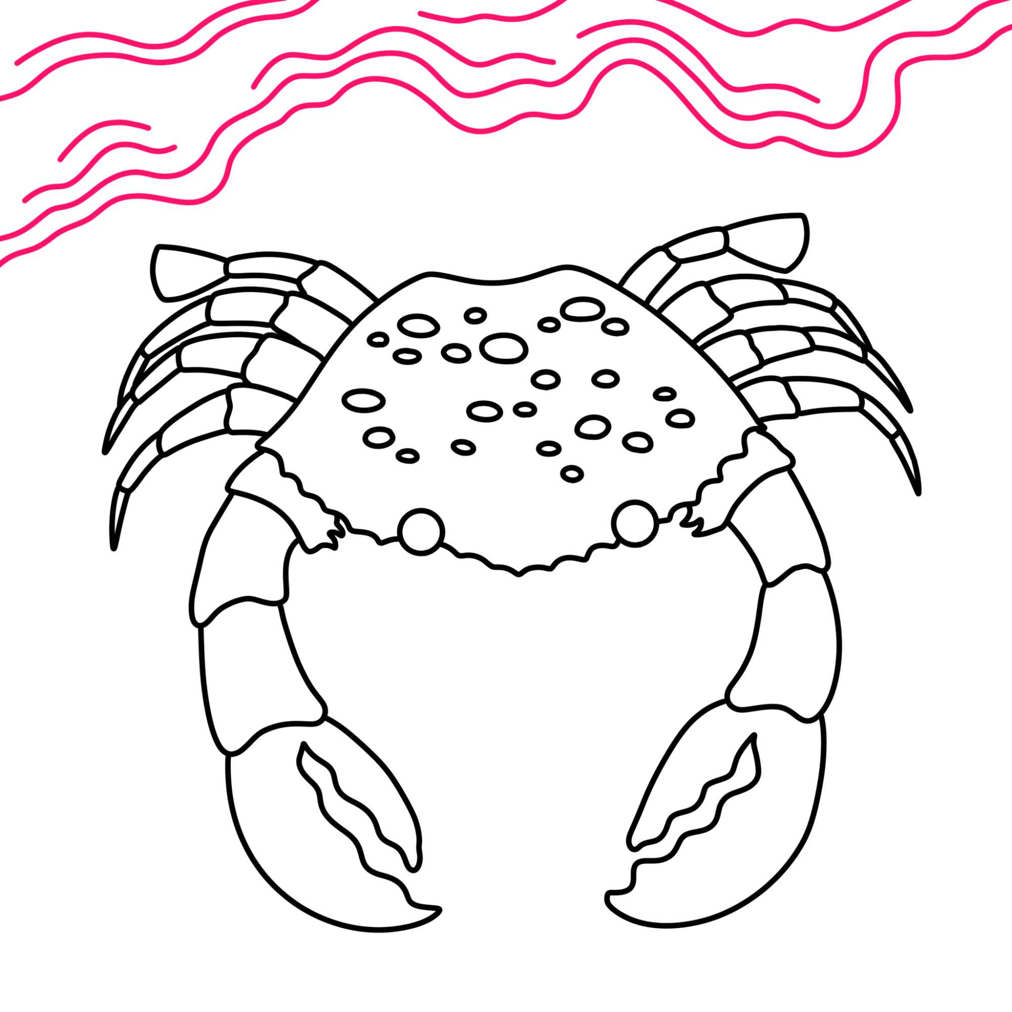 How to Draw a Crab - Step-10