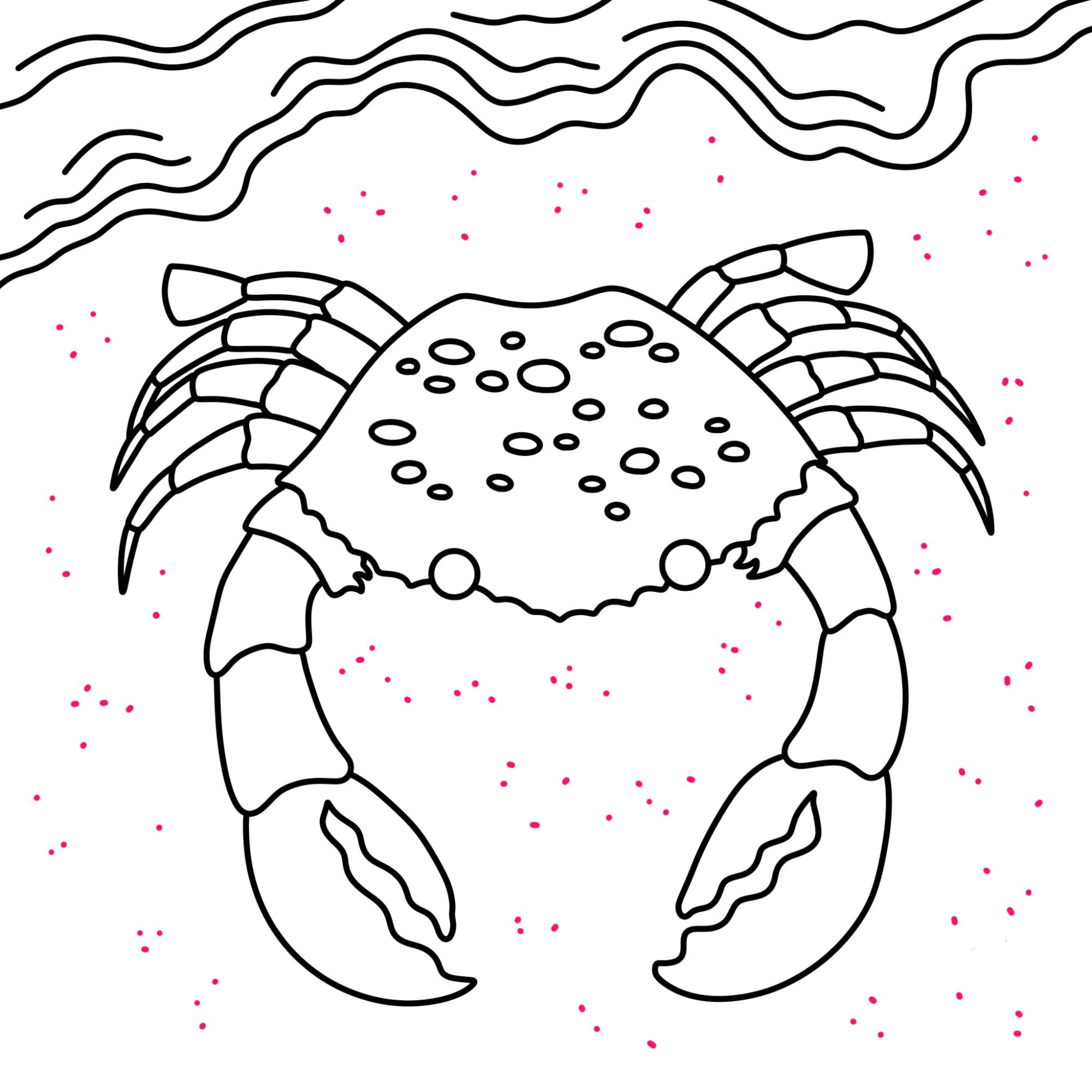 How to Draw a Crab - Step-11