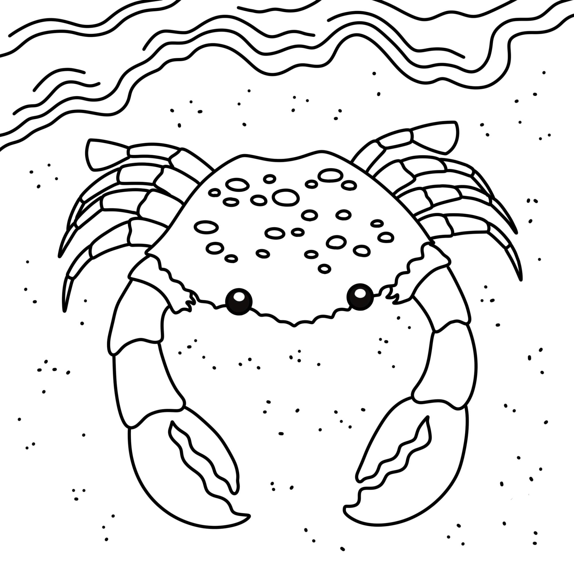 How to Draw a Crab - Step-12