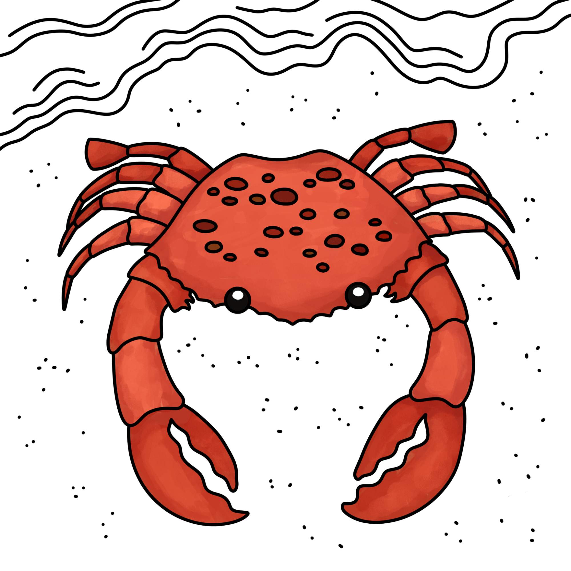 How to Draw a Crab - Step-13