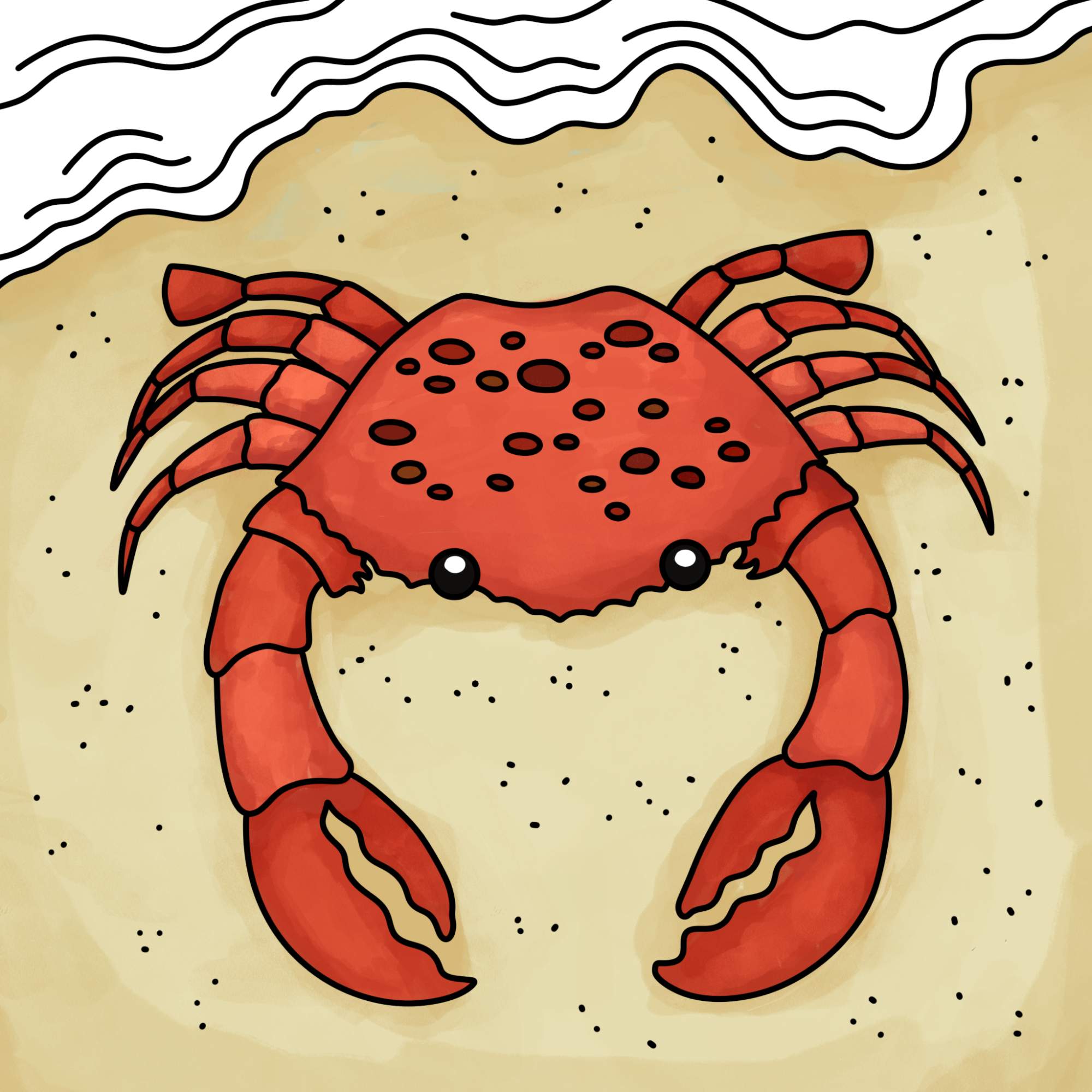 How to Draw a Crab - Step-14