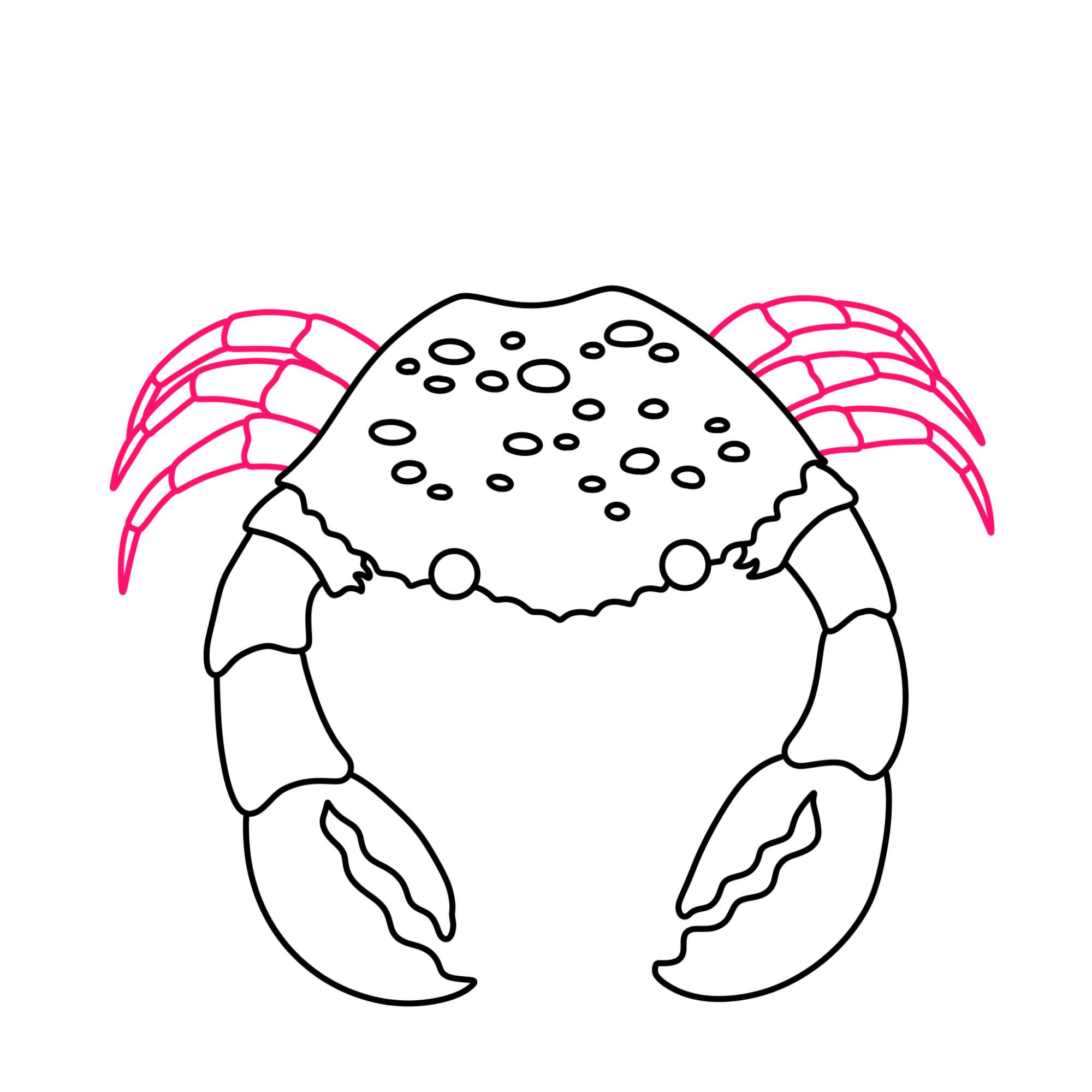 How to Draw a Crab - Step-8