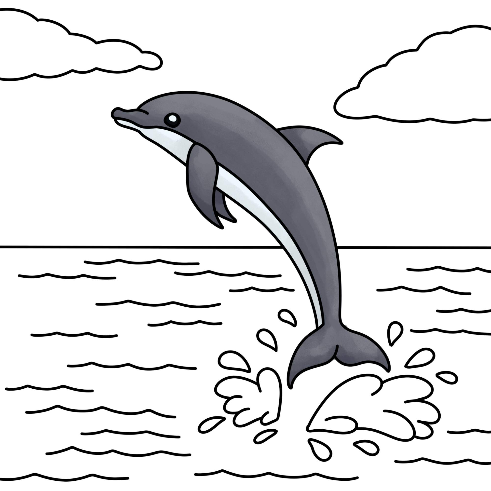 How to Draw a Dolphin - Step-12