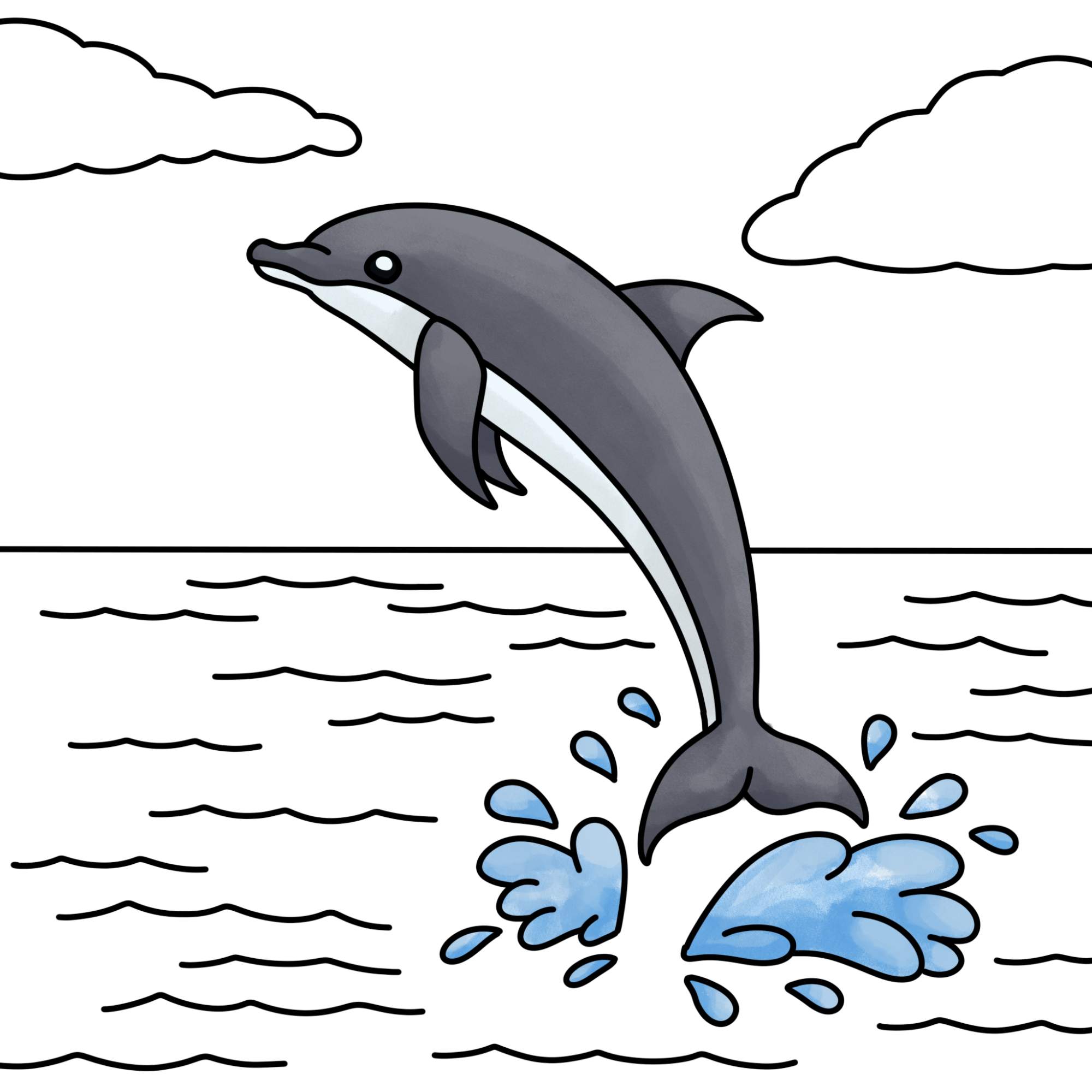 How to Draw a Dolphin - Step-13