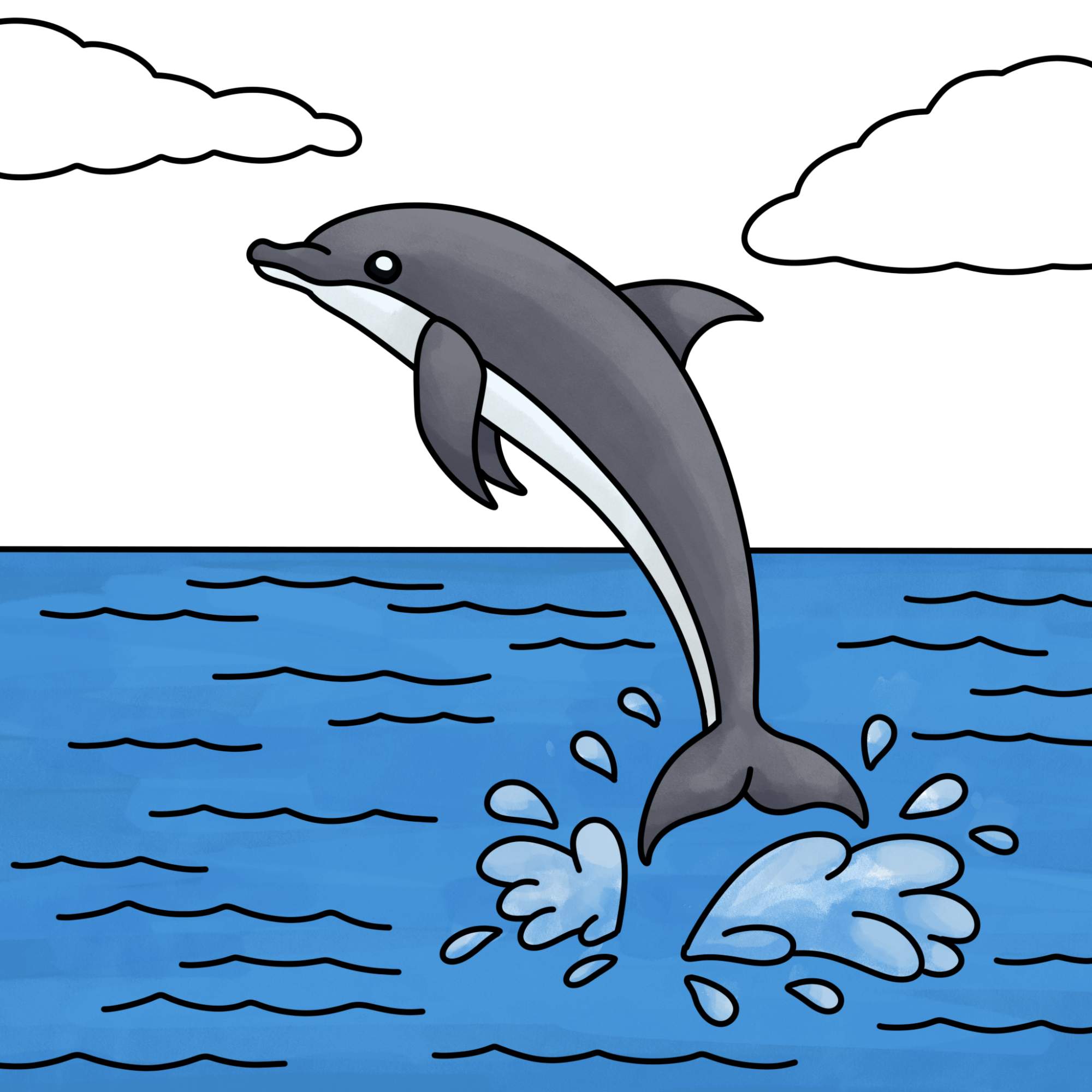 How to Draw a Dolphin - Step-14