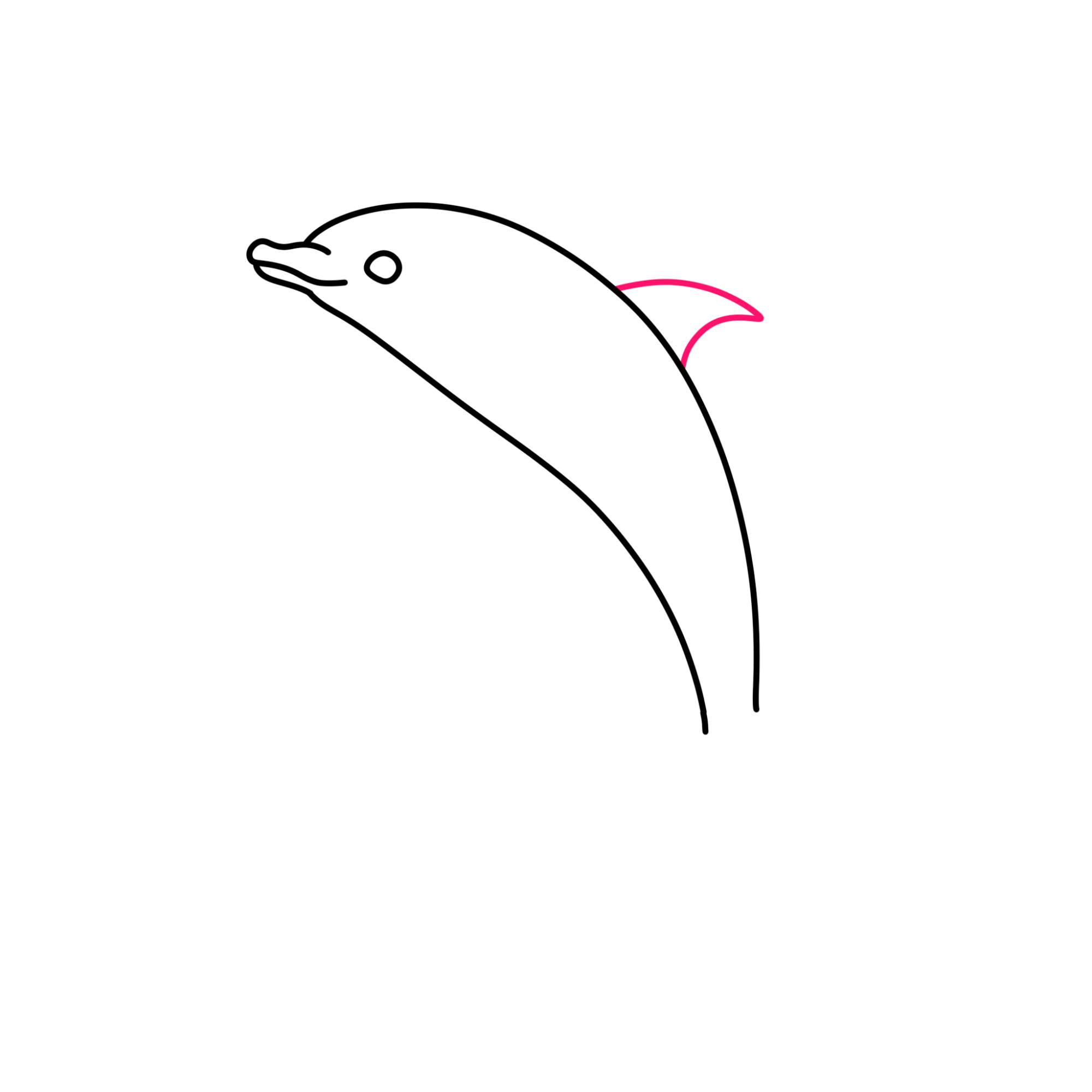 How to Draw a Dolphin - Step-4