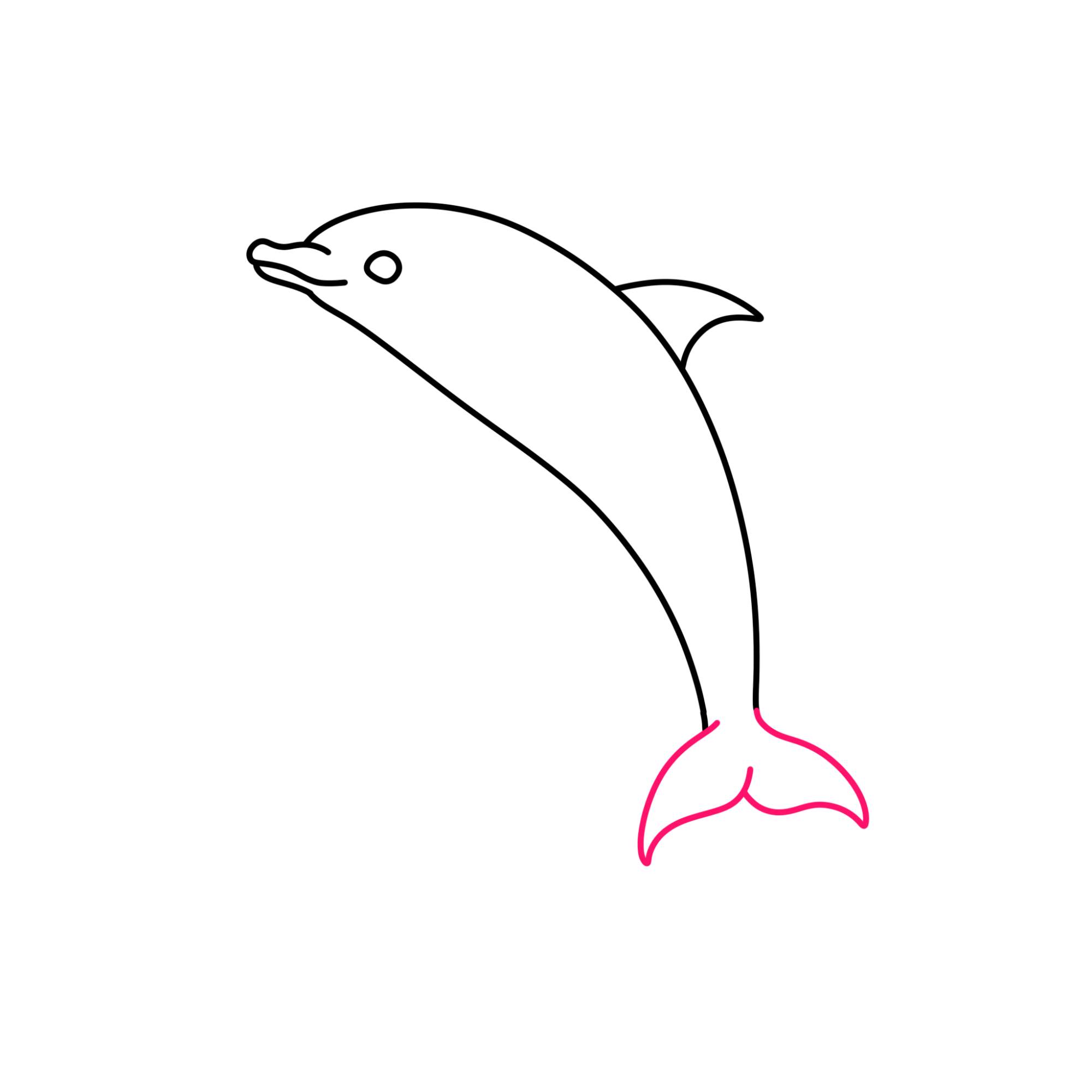 How to Draw a Dolphin - Step-5