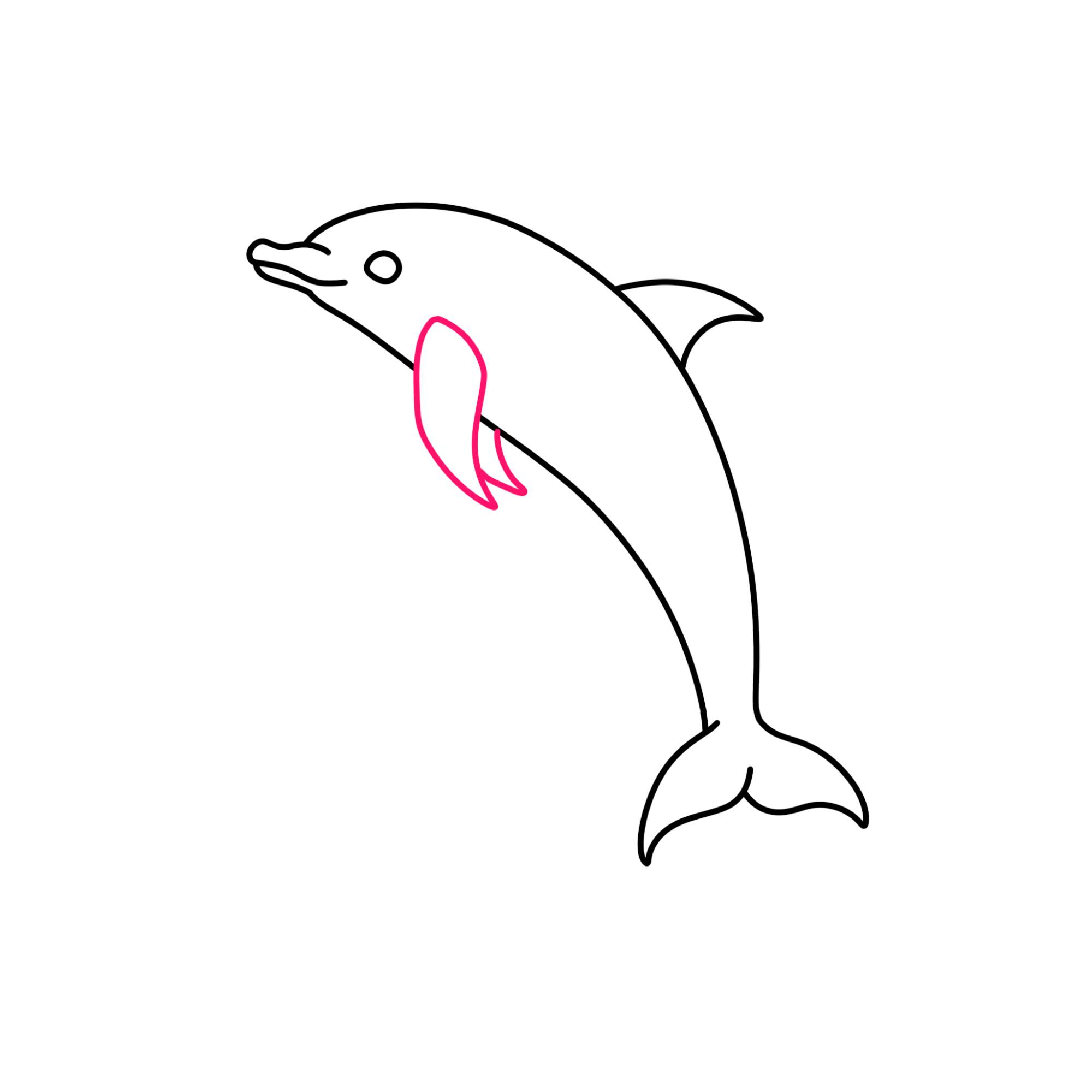 How to Draw a Dolphin - Step-6