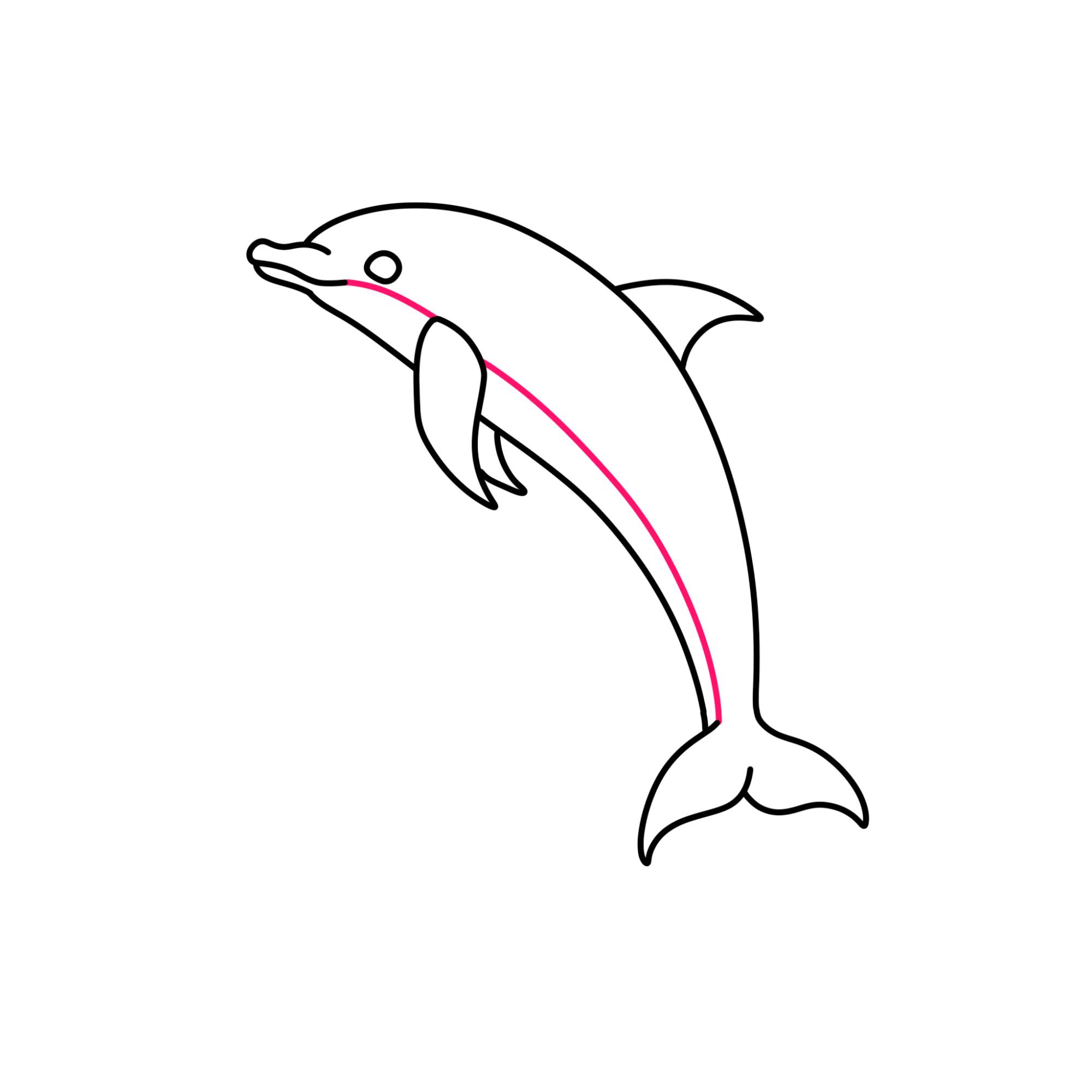 How to Draw a Dolphin - Step-7