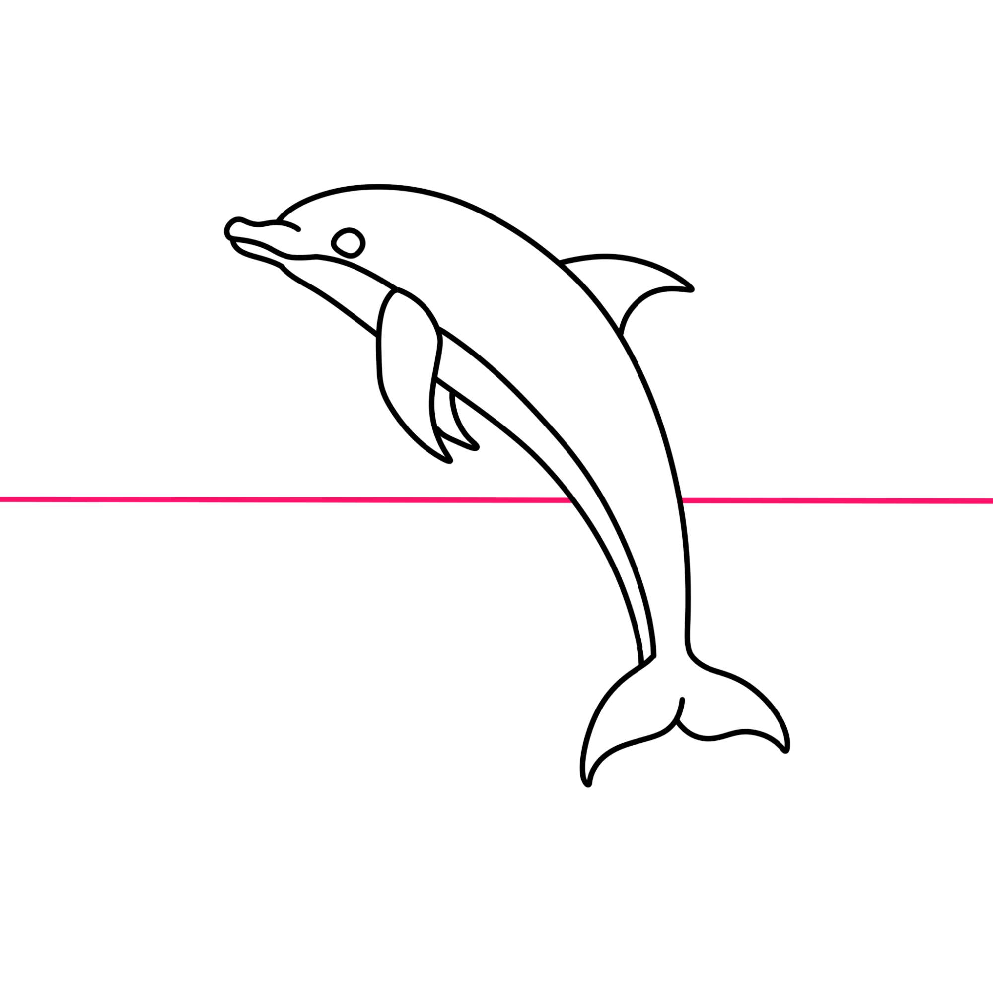 How to Draw a Dolphin - Step-8