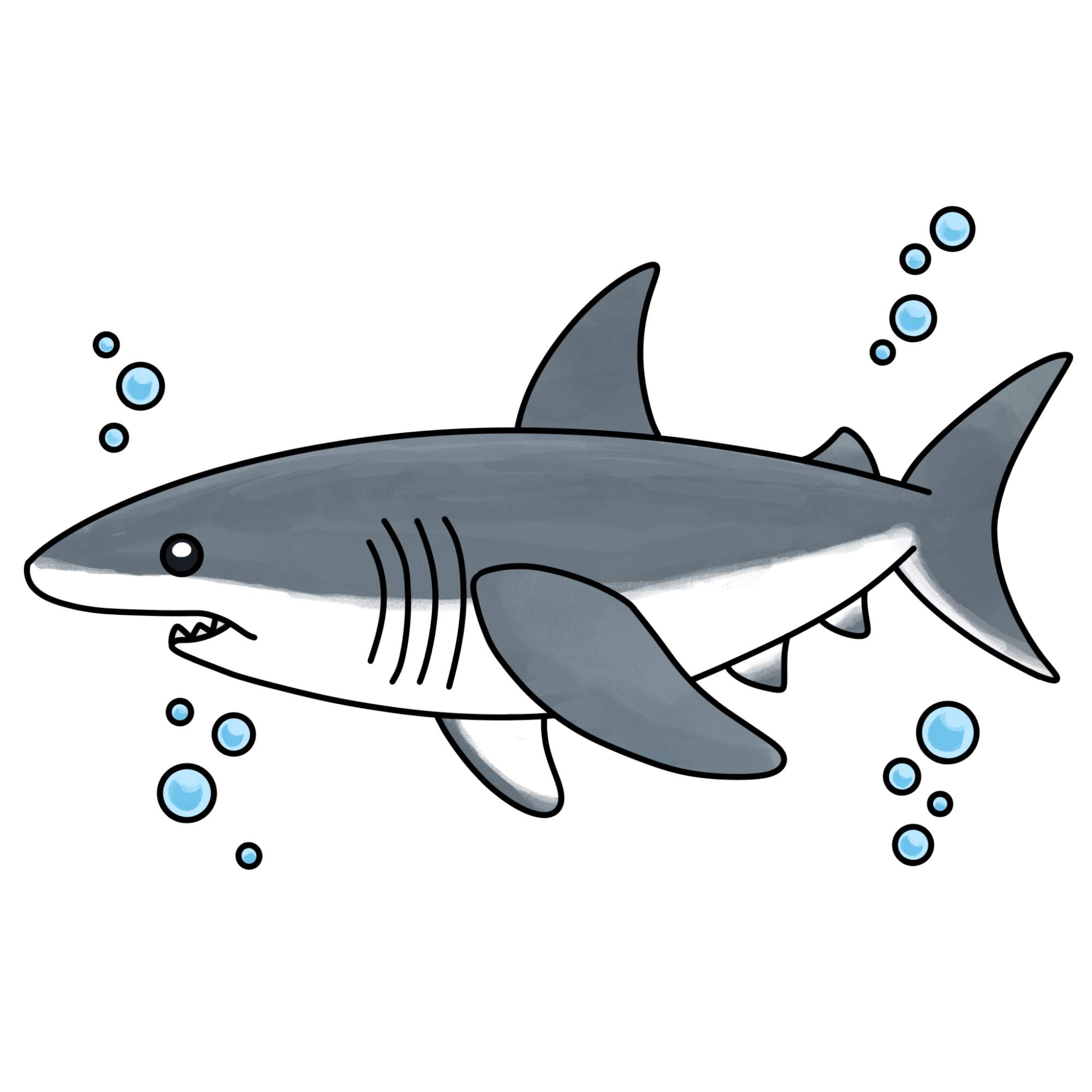 How to Draw a Great White Shark - Step-14