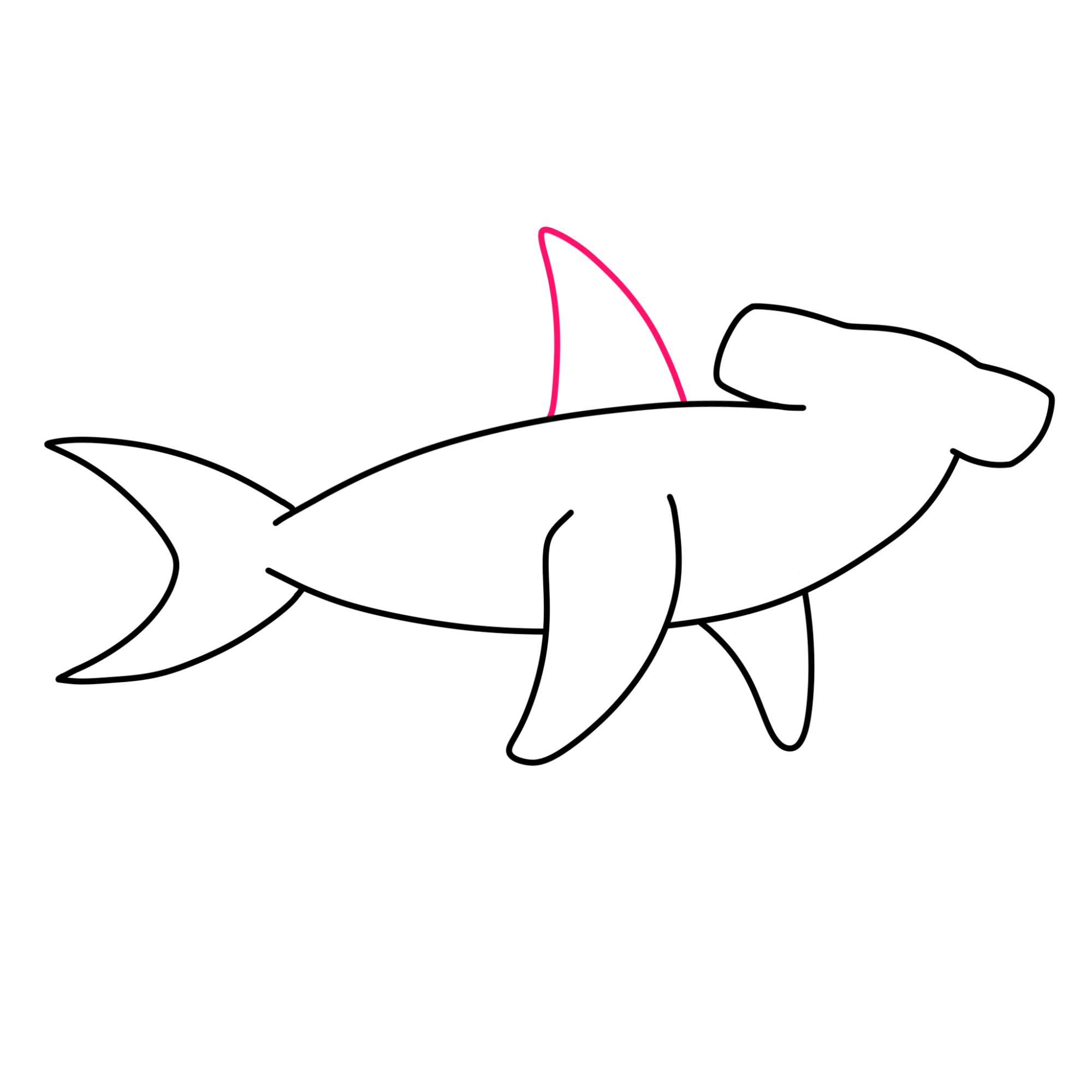 How to Draw a Hammerhead Shark - Step-5