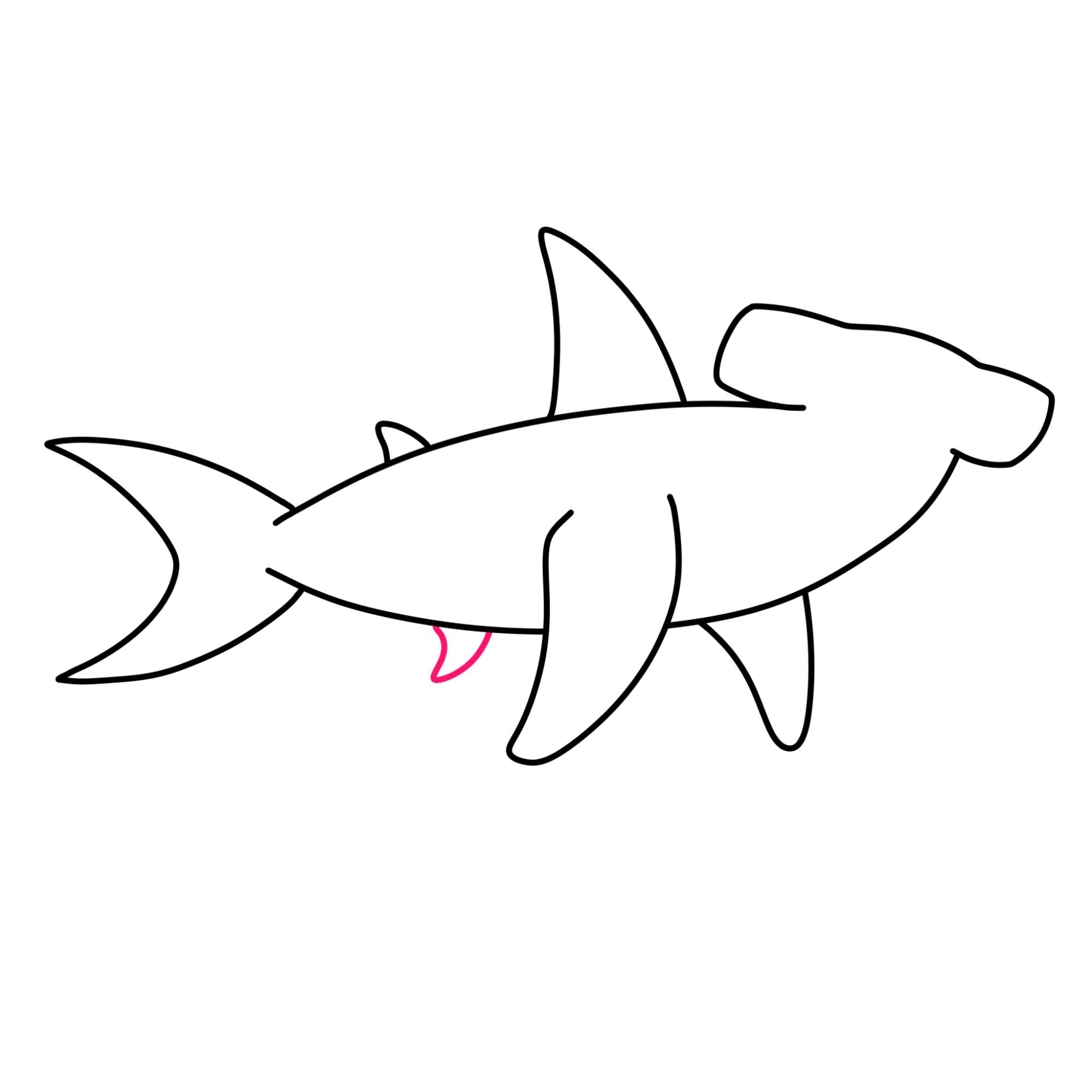 How to Draw a Hammerhead Shark - Step-7