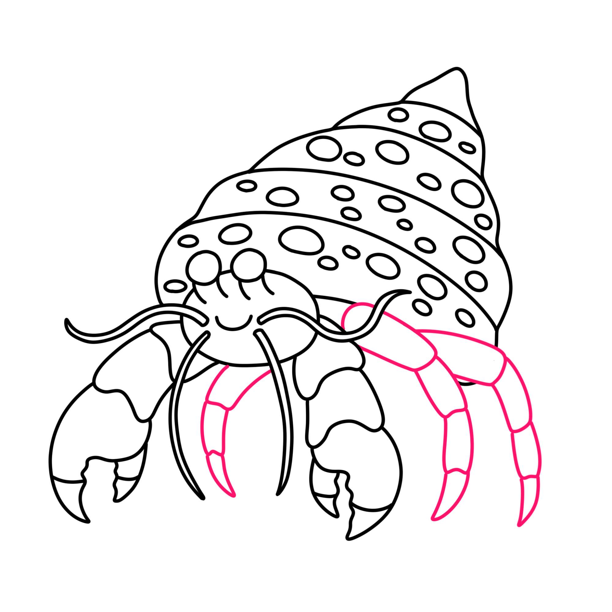 How to Draw a Hermit Crab - Step-10