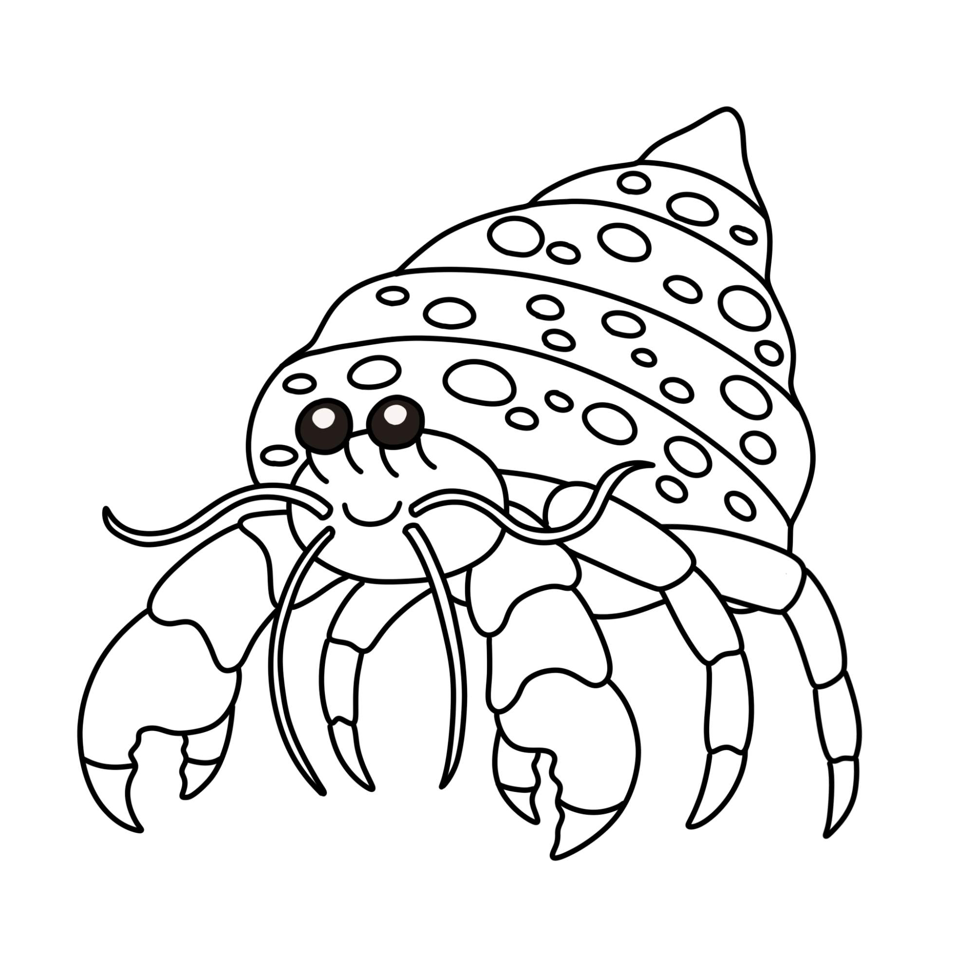 How to Draw a Hermit Crab - Step-12