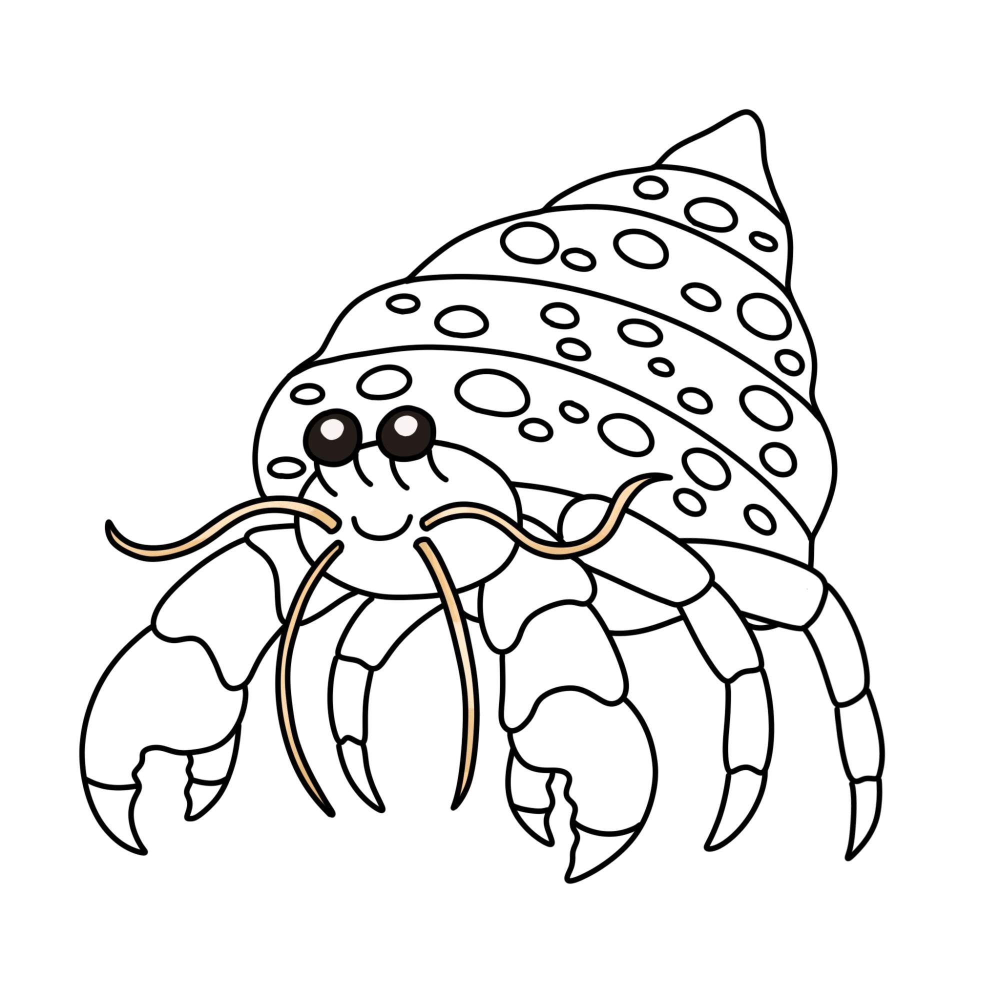 How to Draw a Hermit Crab - Step-13