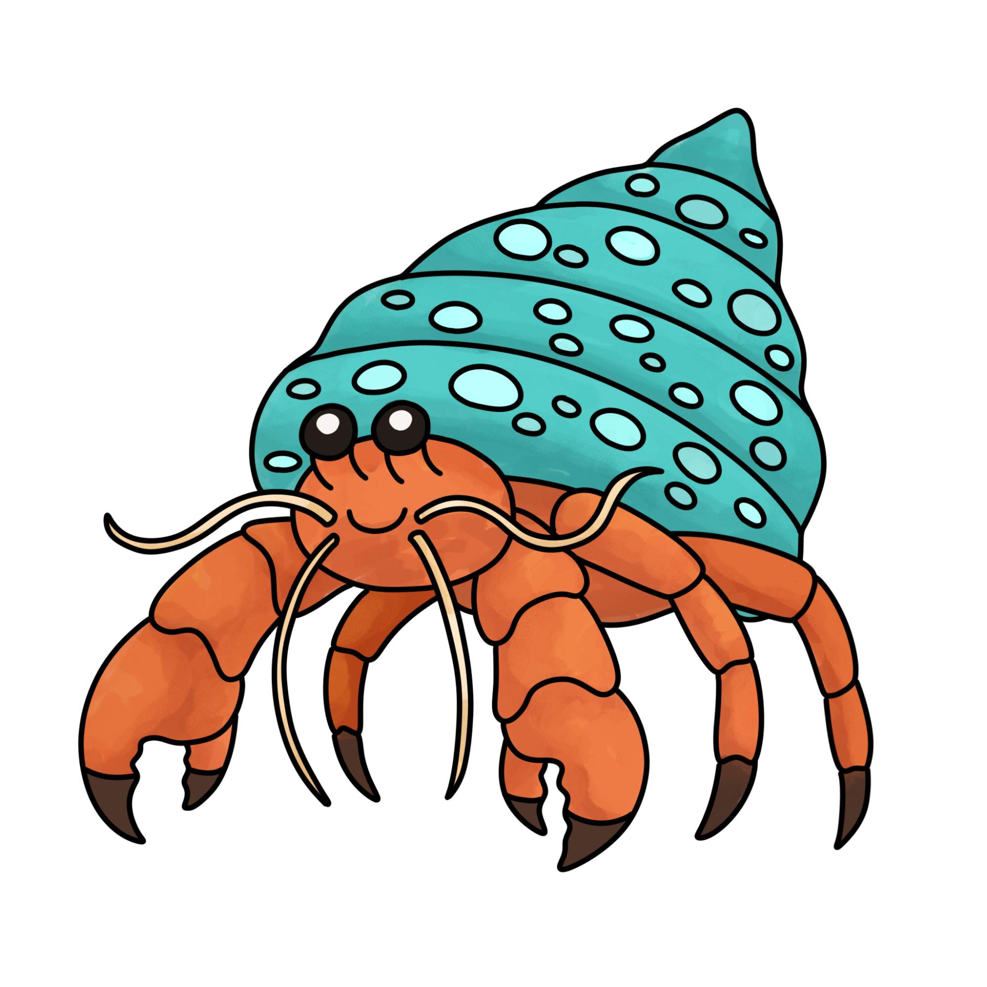 How to Draw a Hermit Crab - Step-15