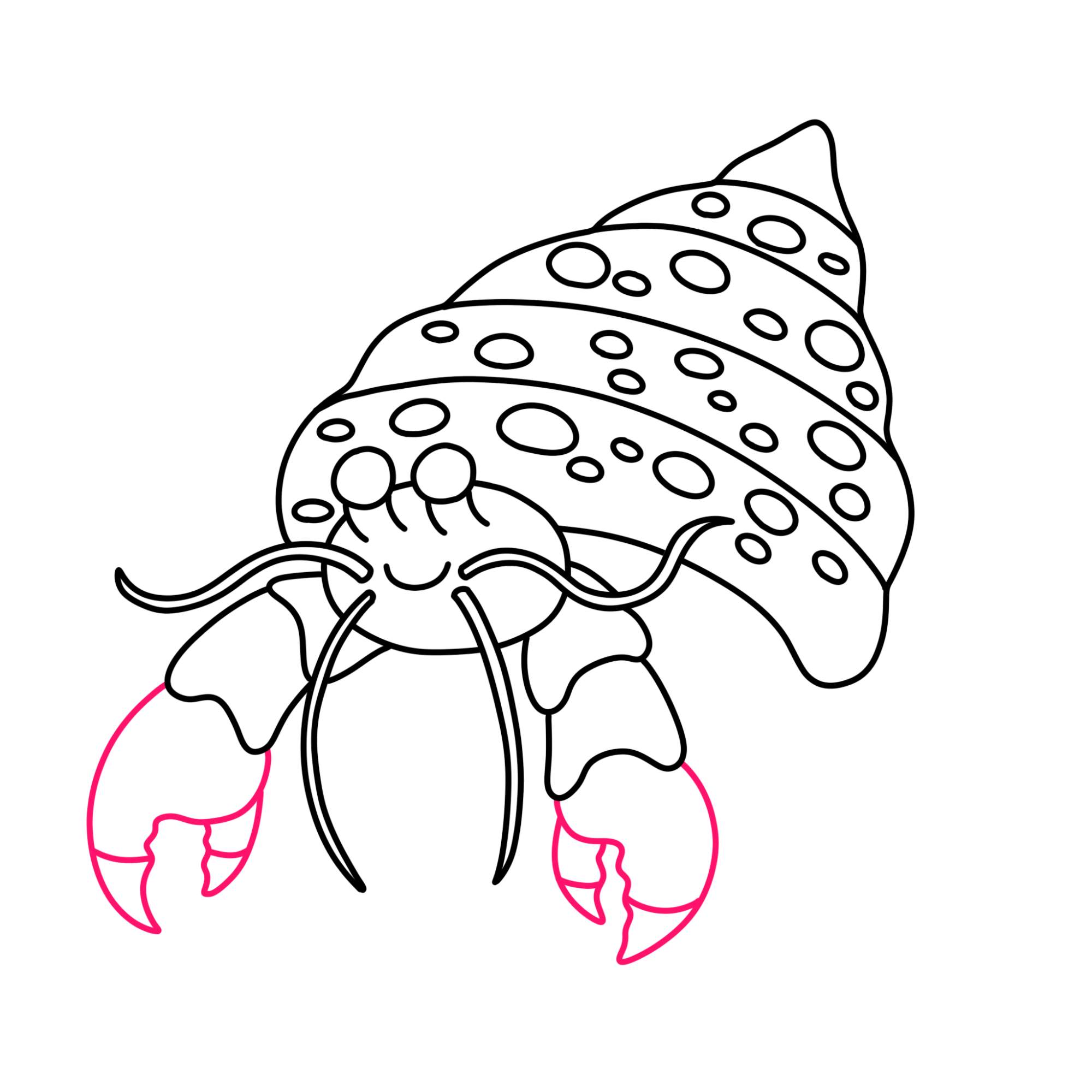 How to Draw a Hermit Crab - Step-9