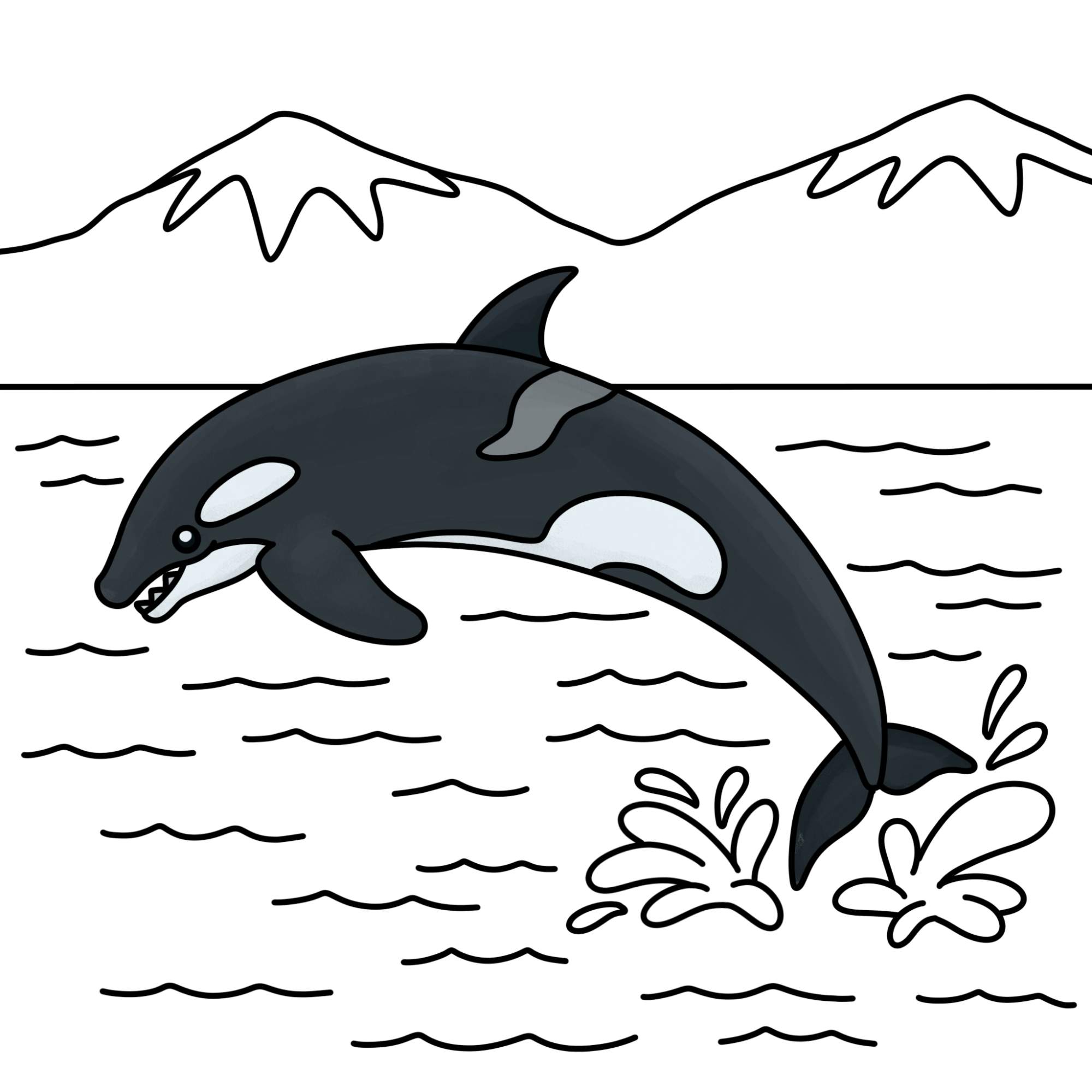 How to Draw a Killer Whale - Step-12