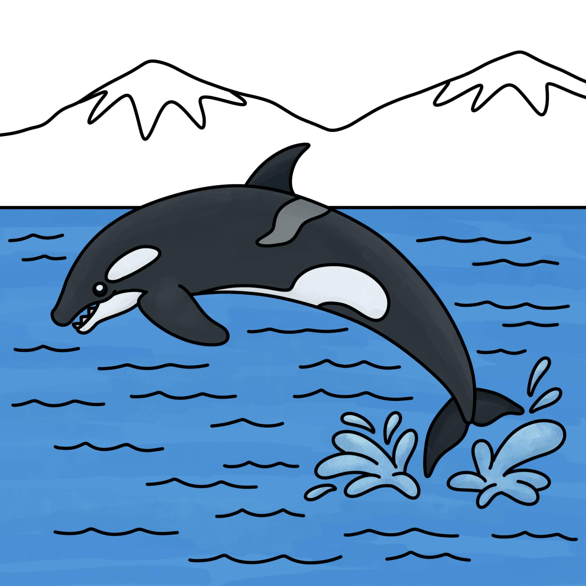 How to Draw a Killer Whale - Step-13