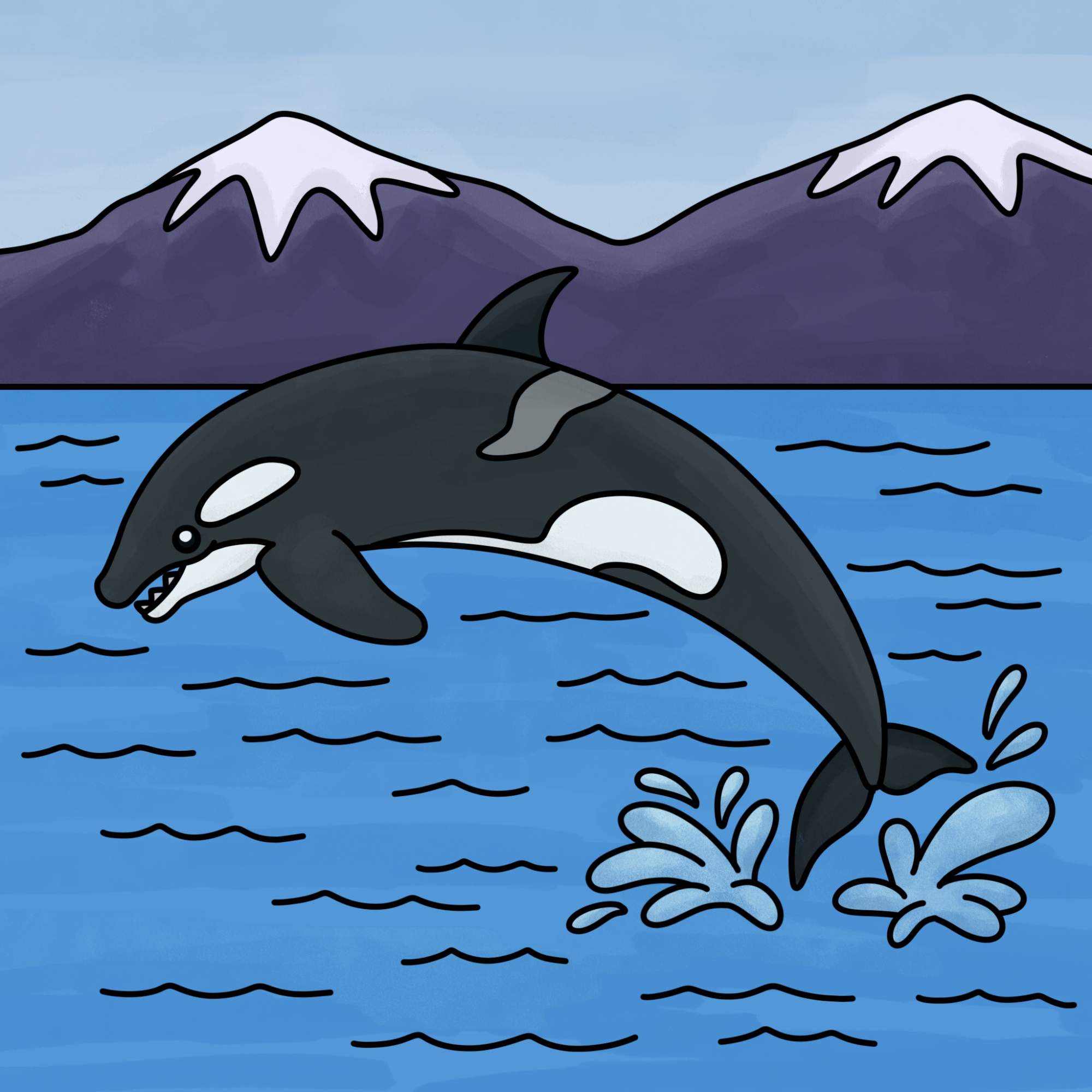 How to Draw a Killer Whale - Step-15