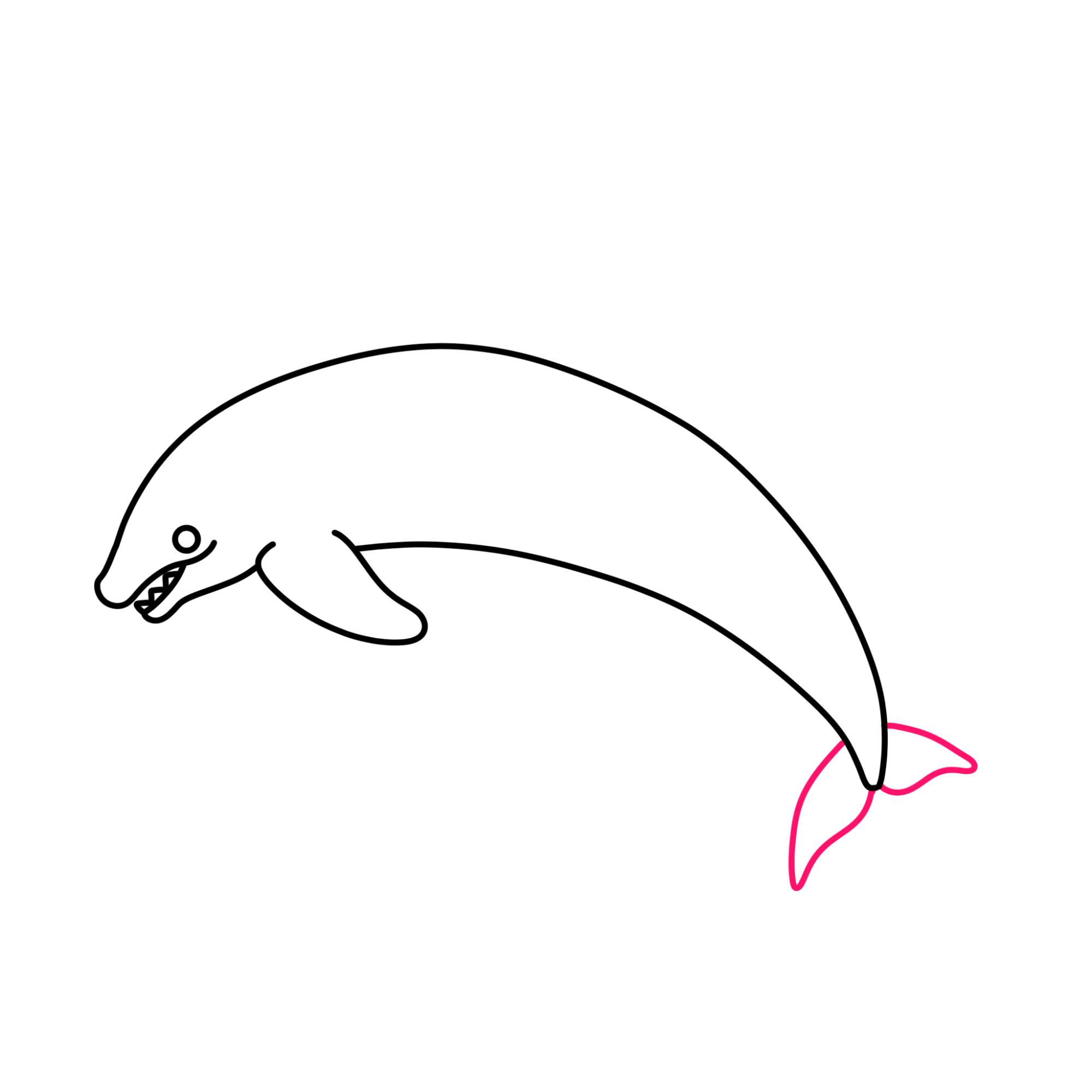 How to Draw a Killer Whale - Step-6