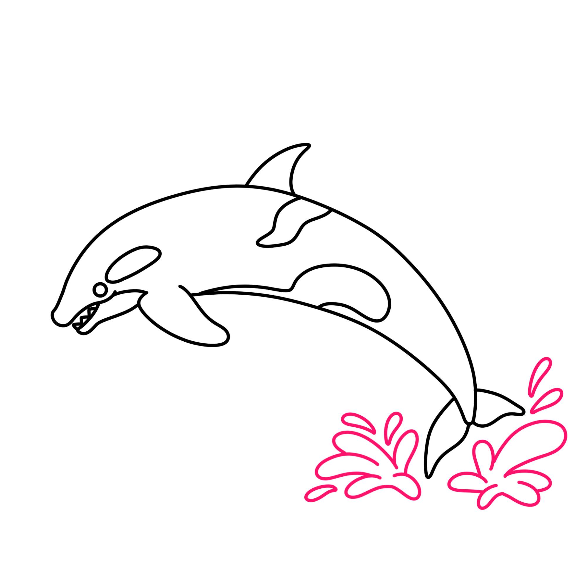 How to Draw a Killer Whale - Step-9