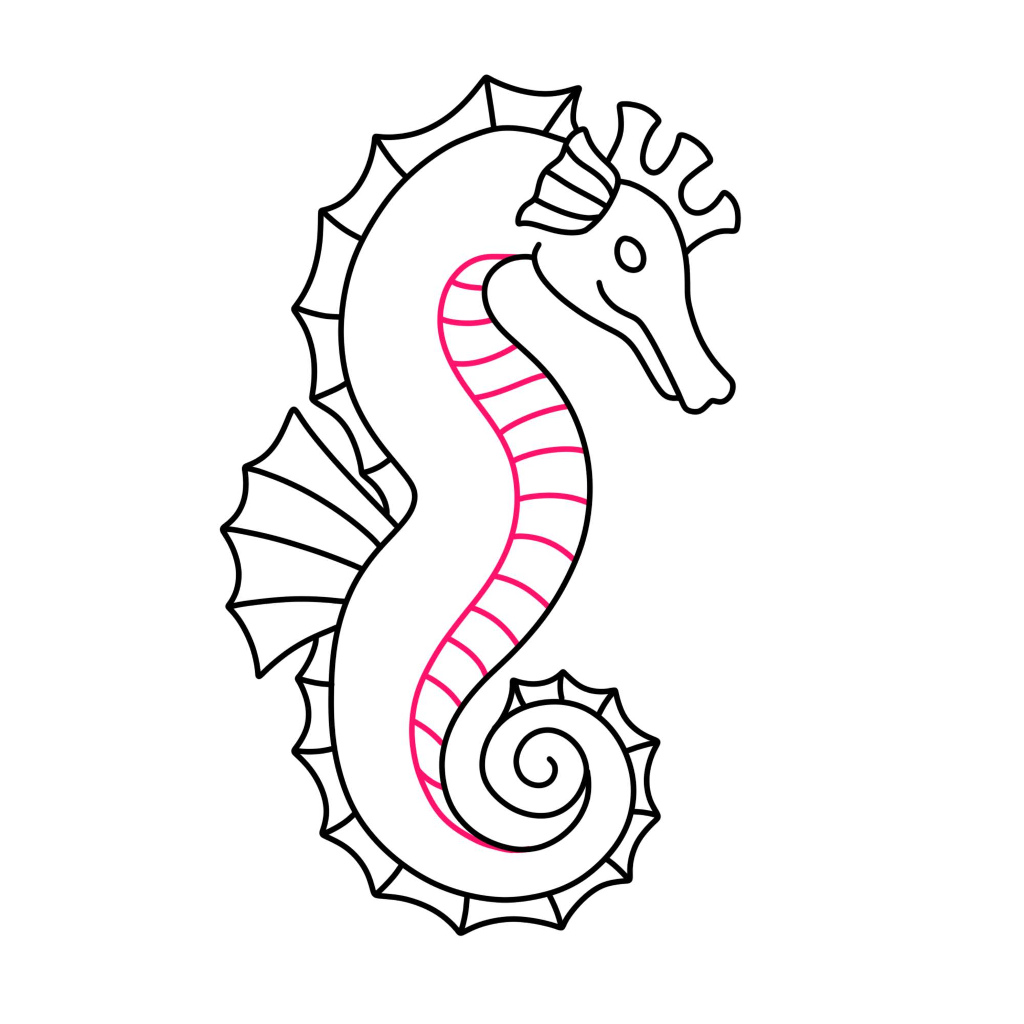 How to Draw a Seahorse - Step-10