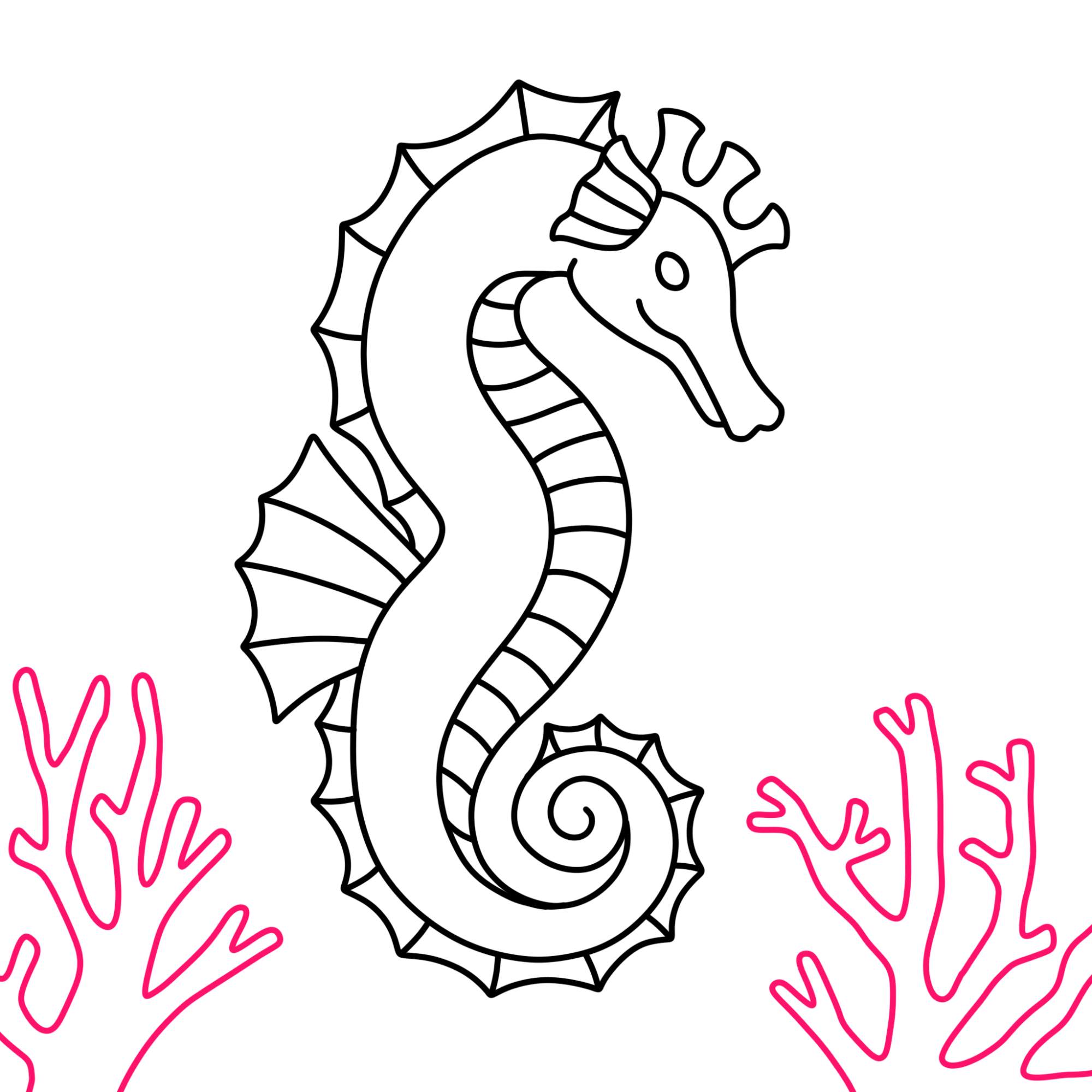 How to Draw a Seahorse - Step-11