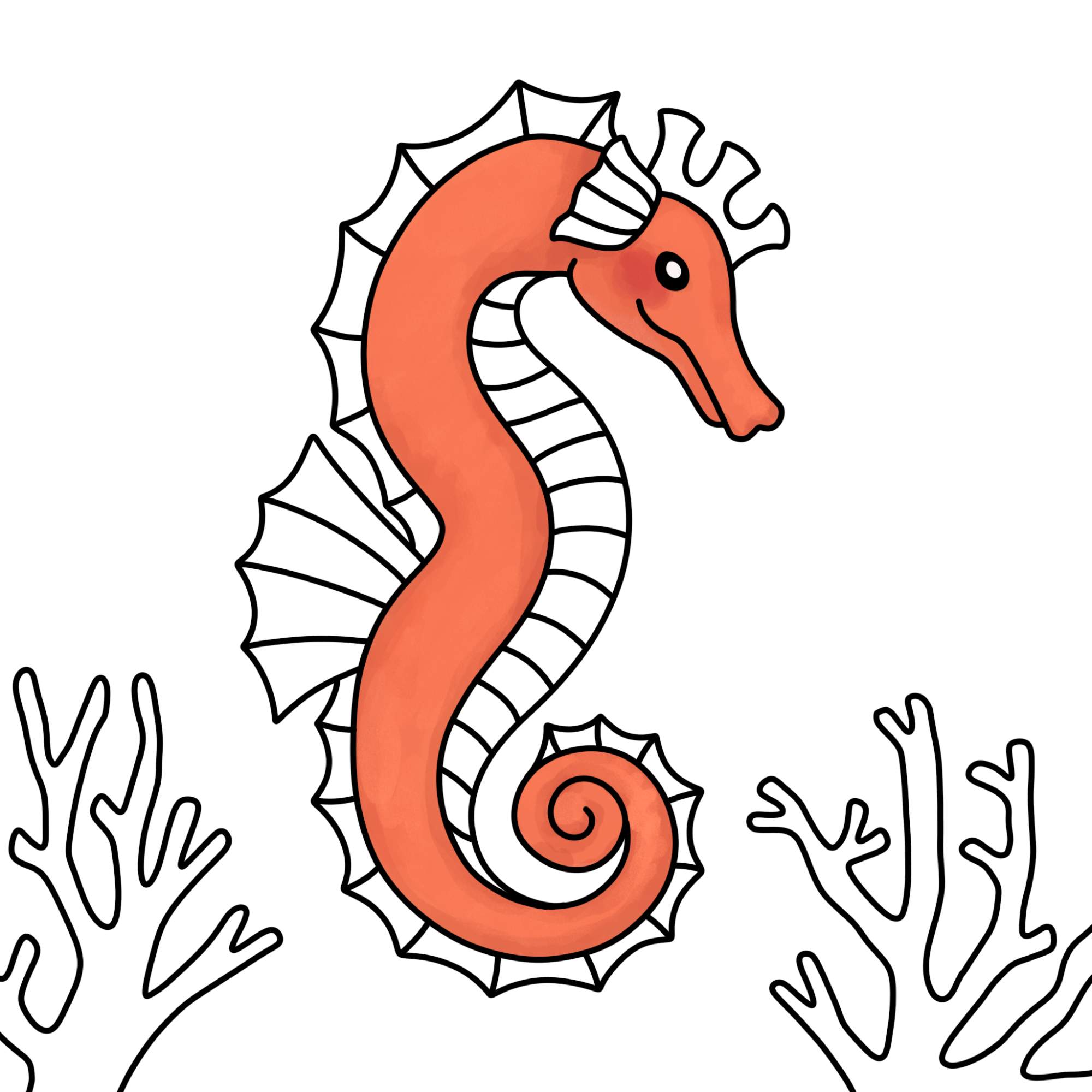 How to Draw a Seahorse - Step-12