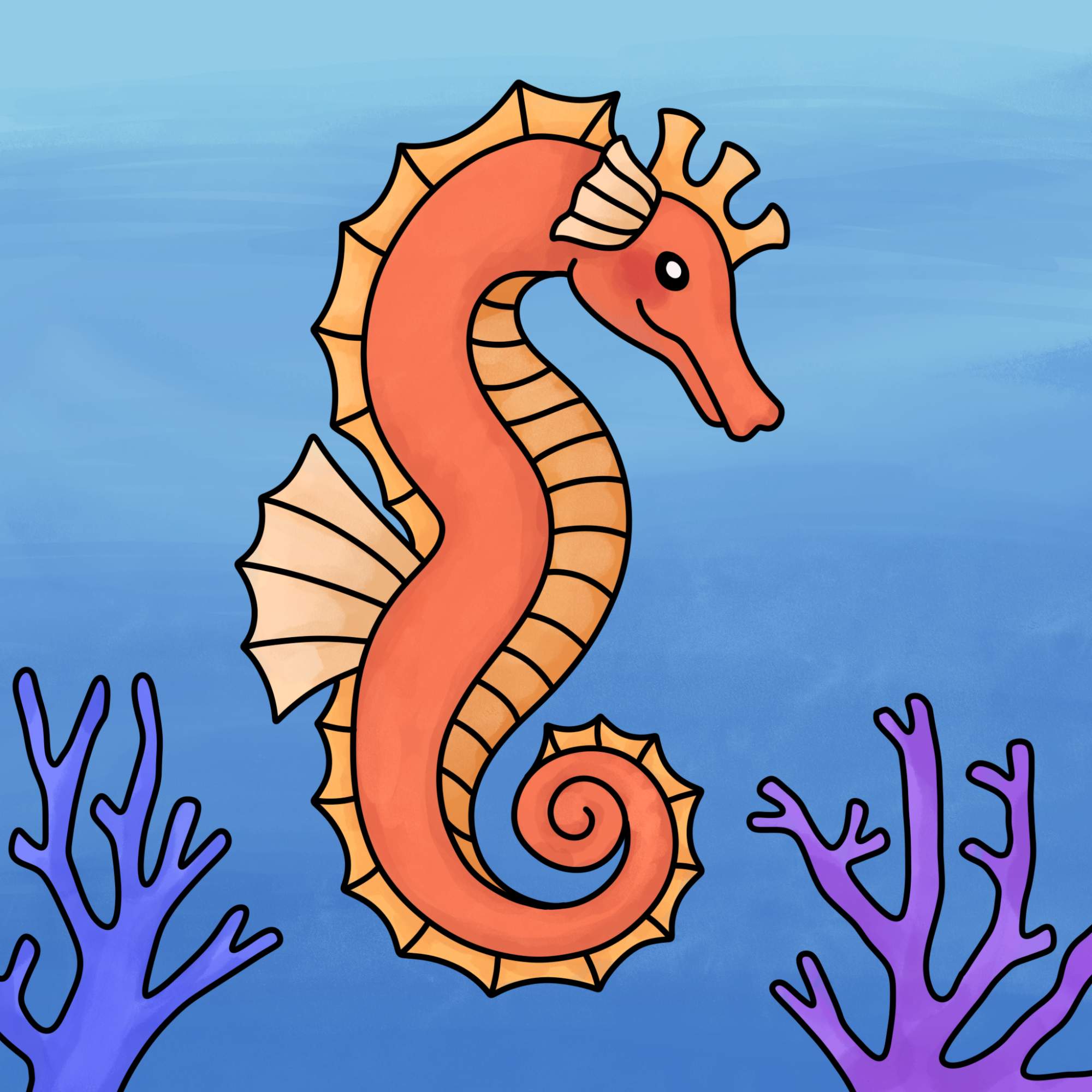 How to Draw a Seahorse - Step-15