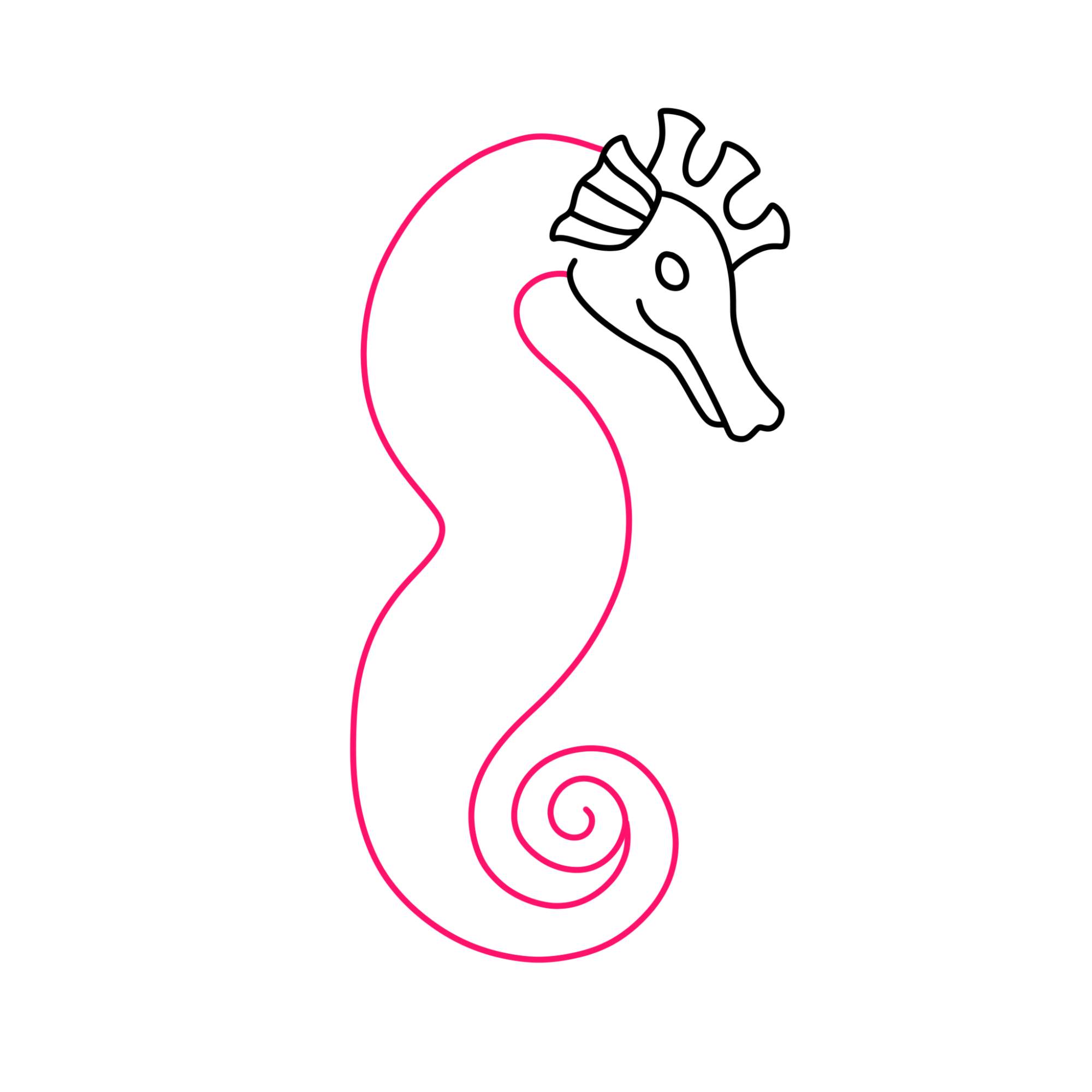 How to Draw a Seahorse - Step-6