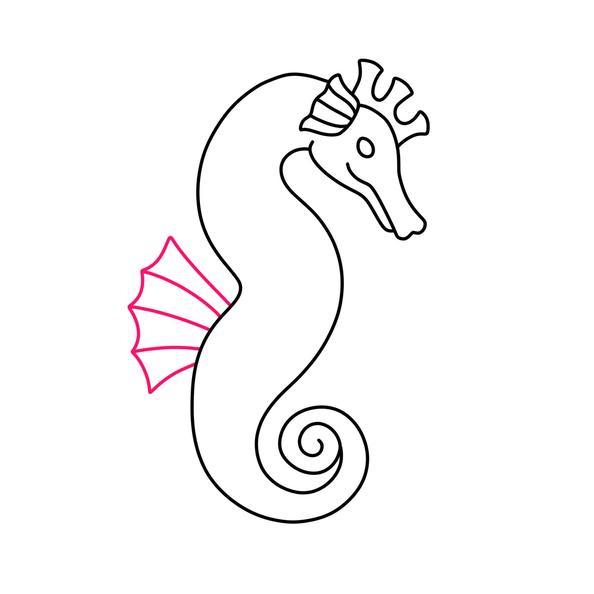 How to Draw a Seahorse - Step-7