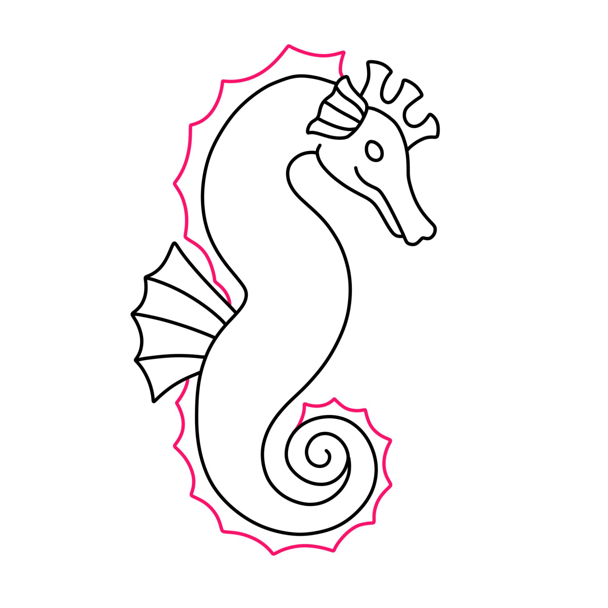 How to Draw a Seahorse - Step-8