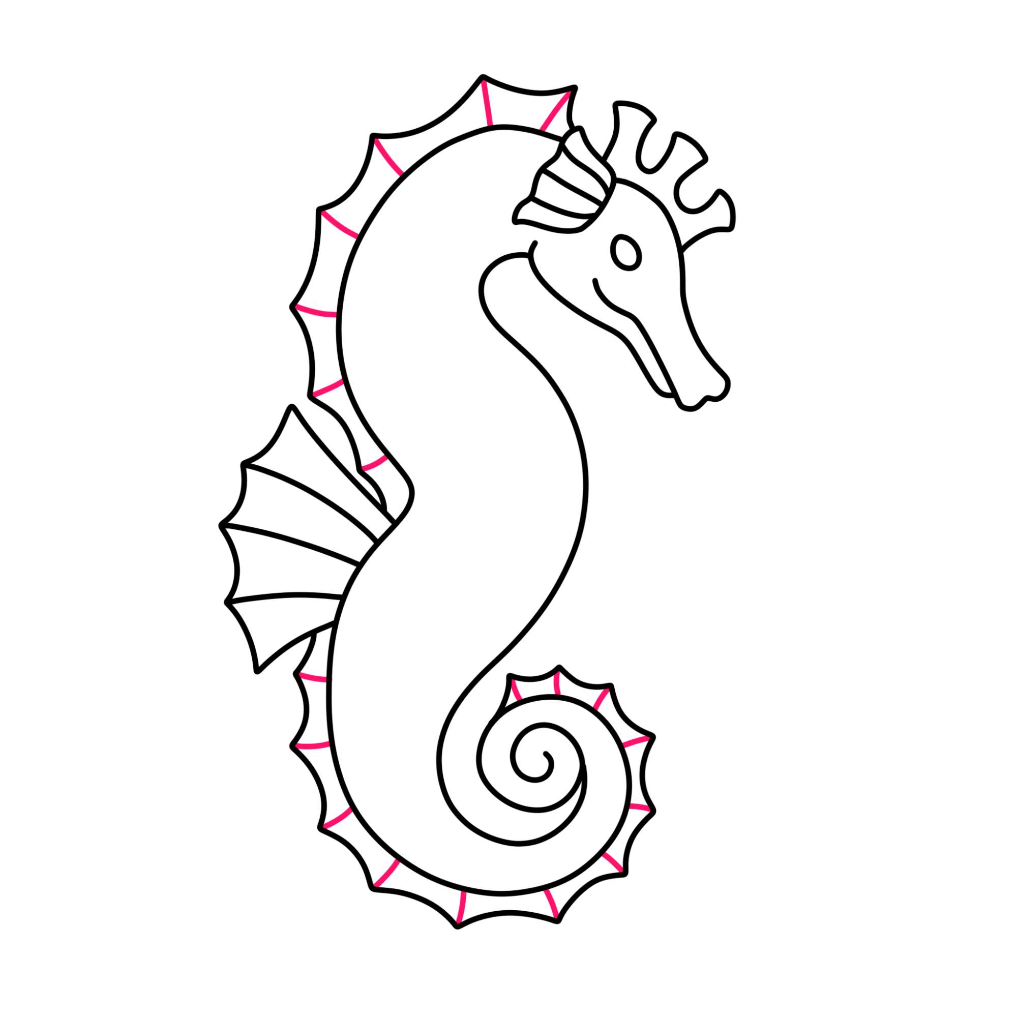 How to Draw a Seahorse - Step-9