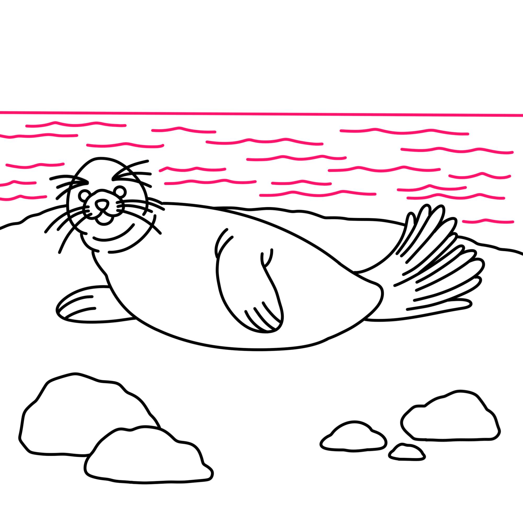 How to Draw a Seal - Step-10