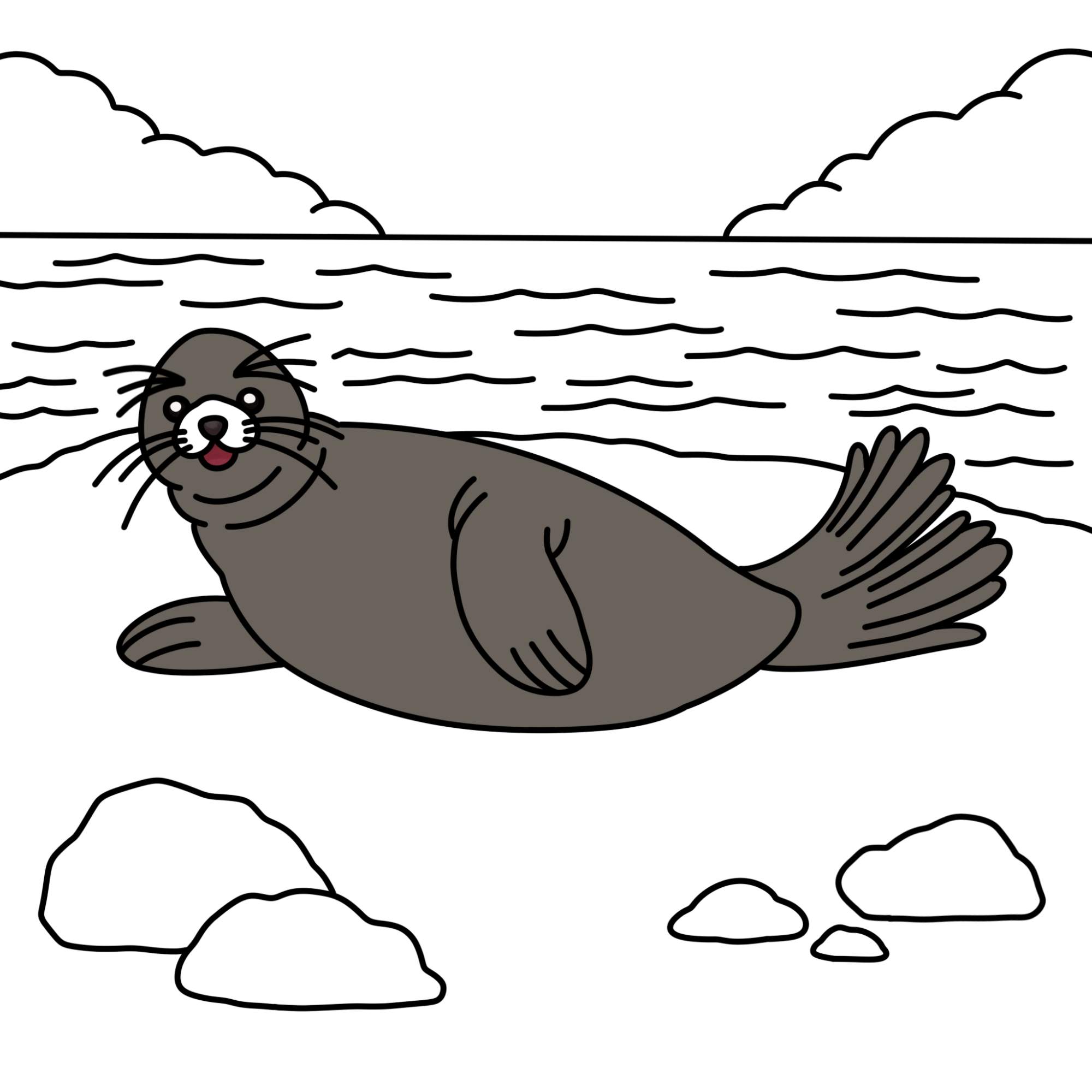 How to Draw a Seal - Step-12