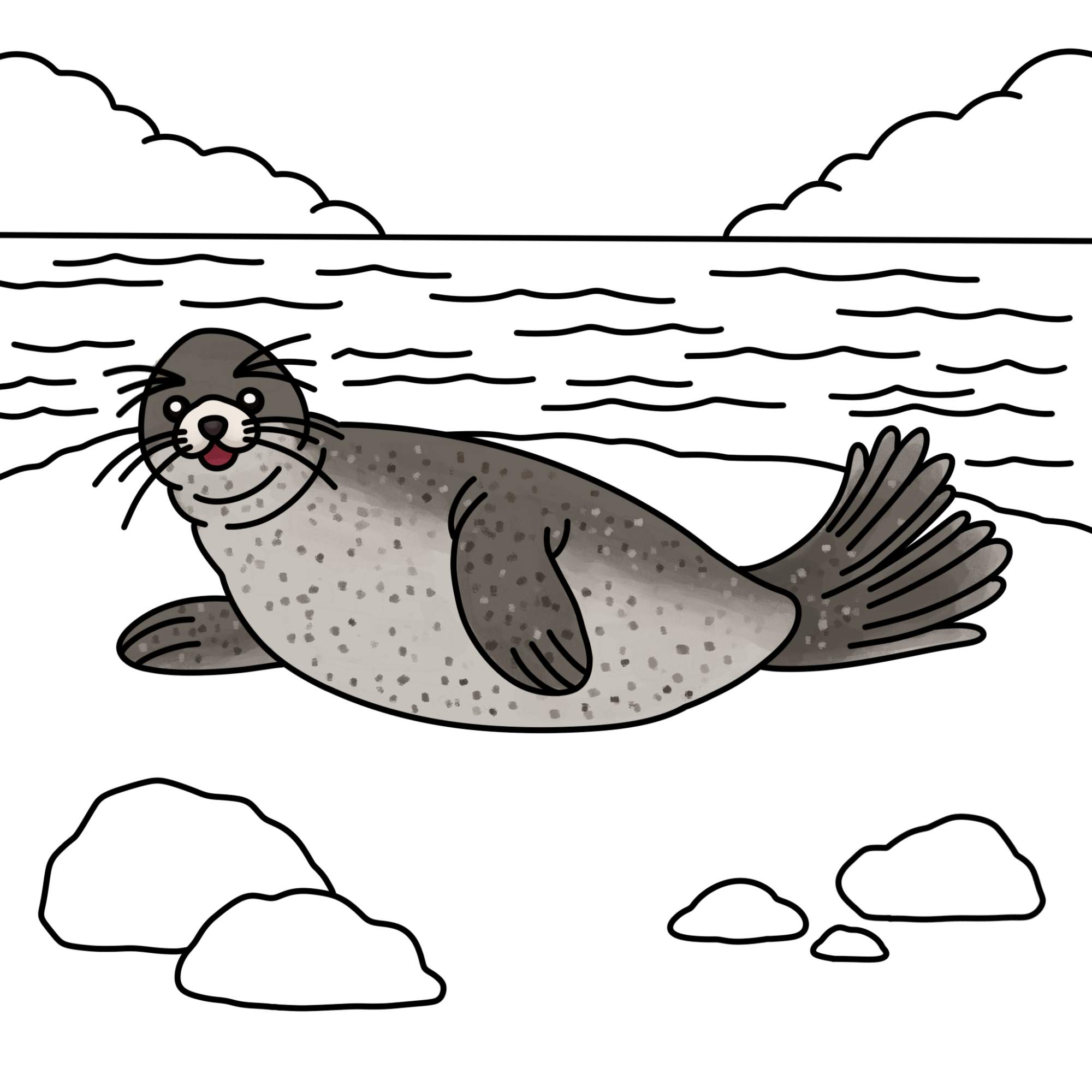 How to Draw a Seal - Step-13