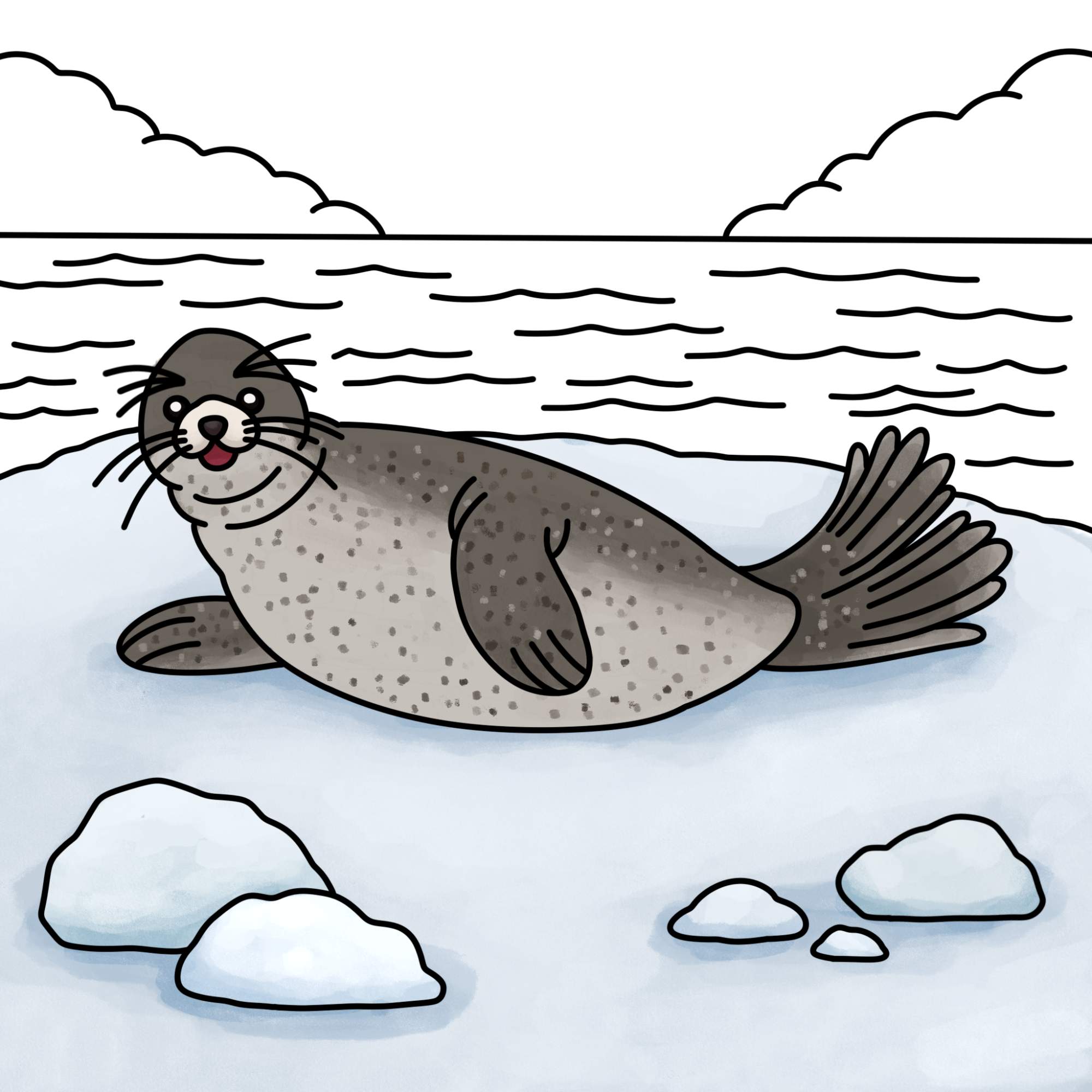 How to Draw a Seal - Step-14