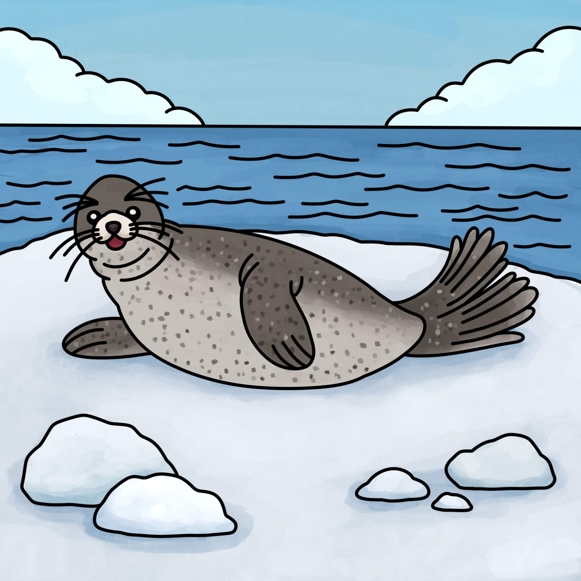 How to Draw a Seal - Step-15