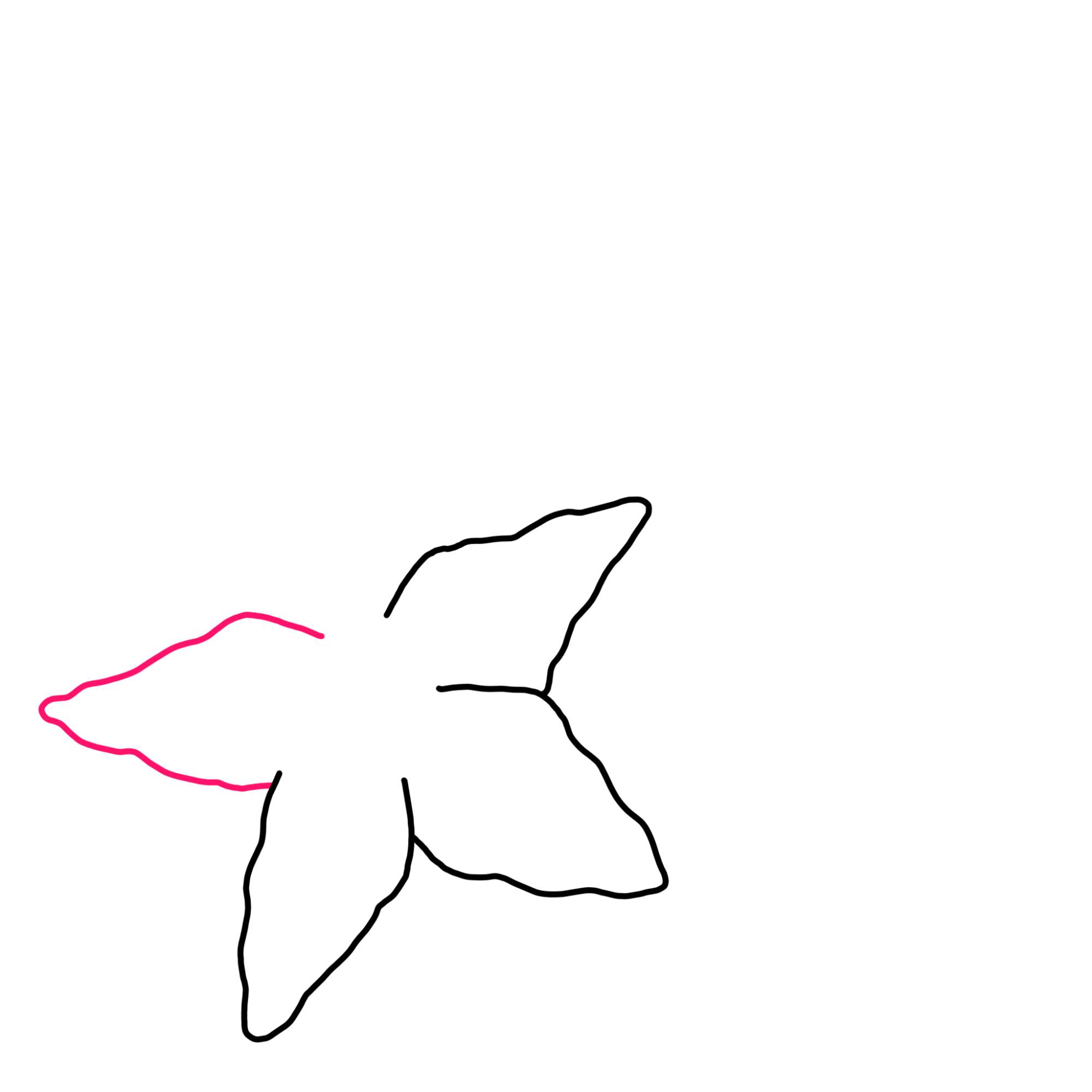 How to Draw a Starfish - Step-4