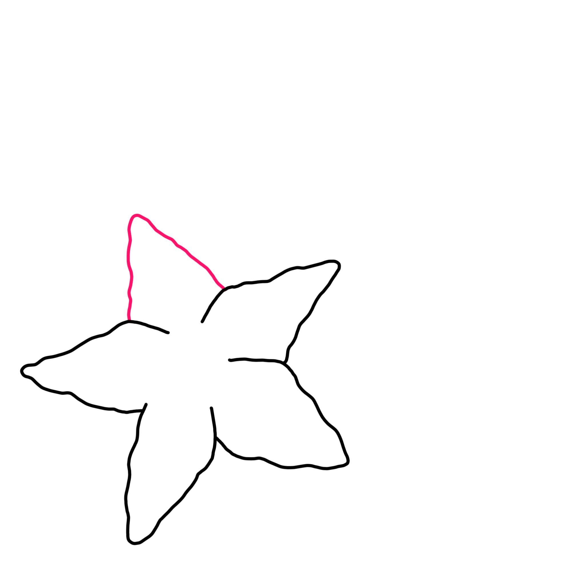 How to Draw a Starfish - Step-5