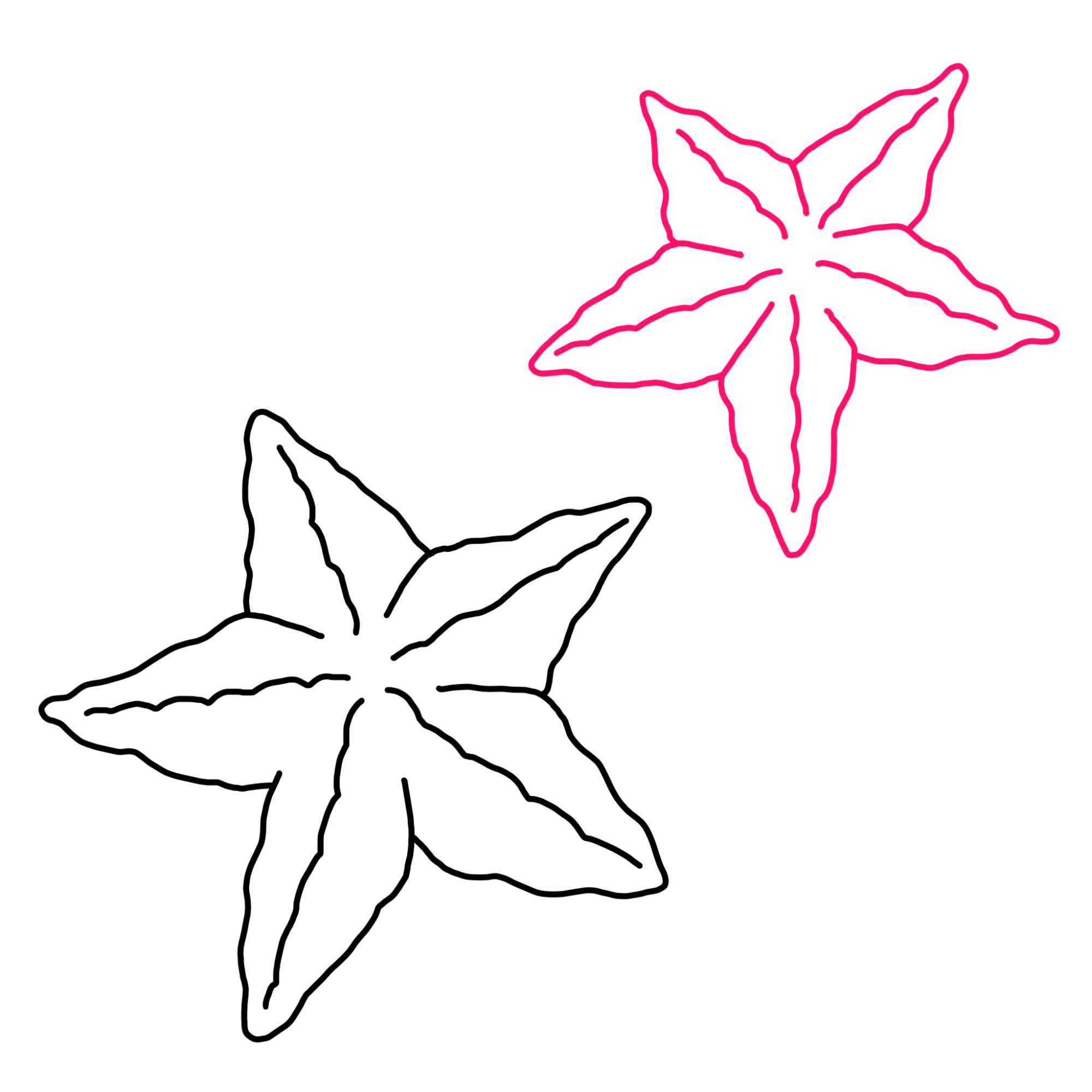 How to Draw a Starfish - Step-7