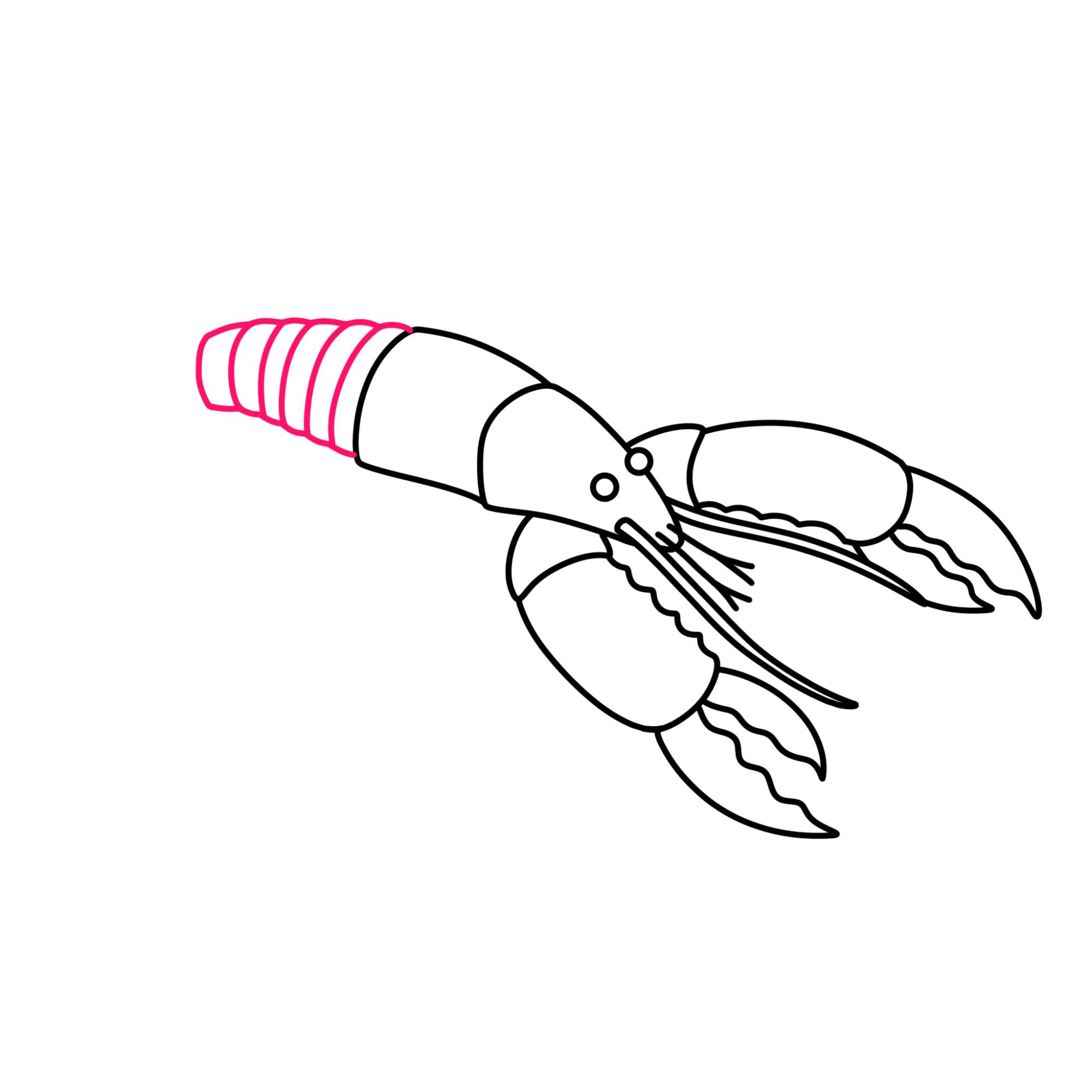 Lobster Drawing - Step-10