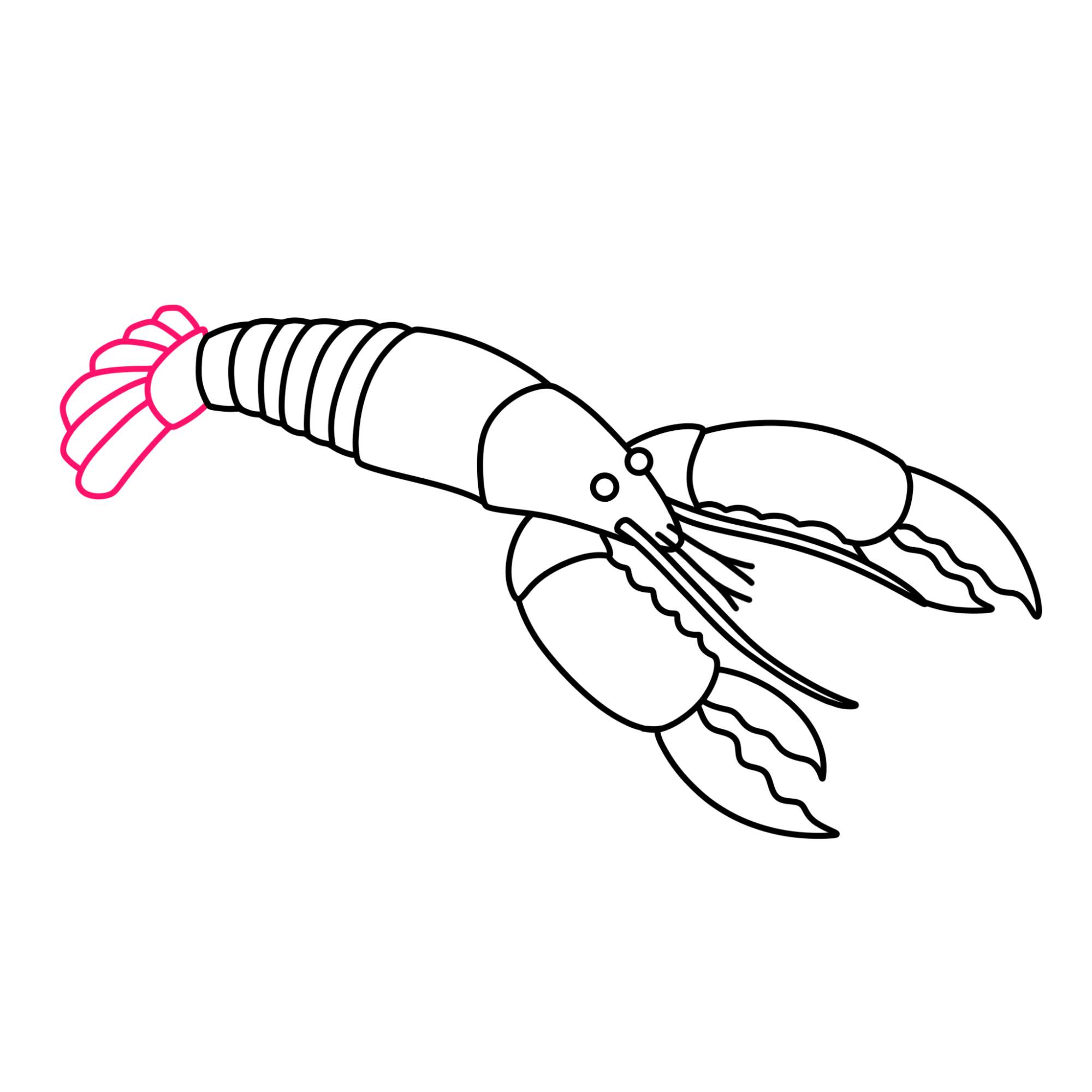 Lobster Drawing - Step-11