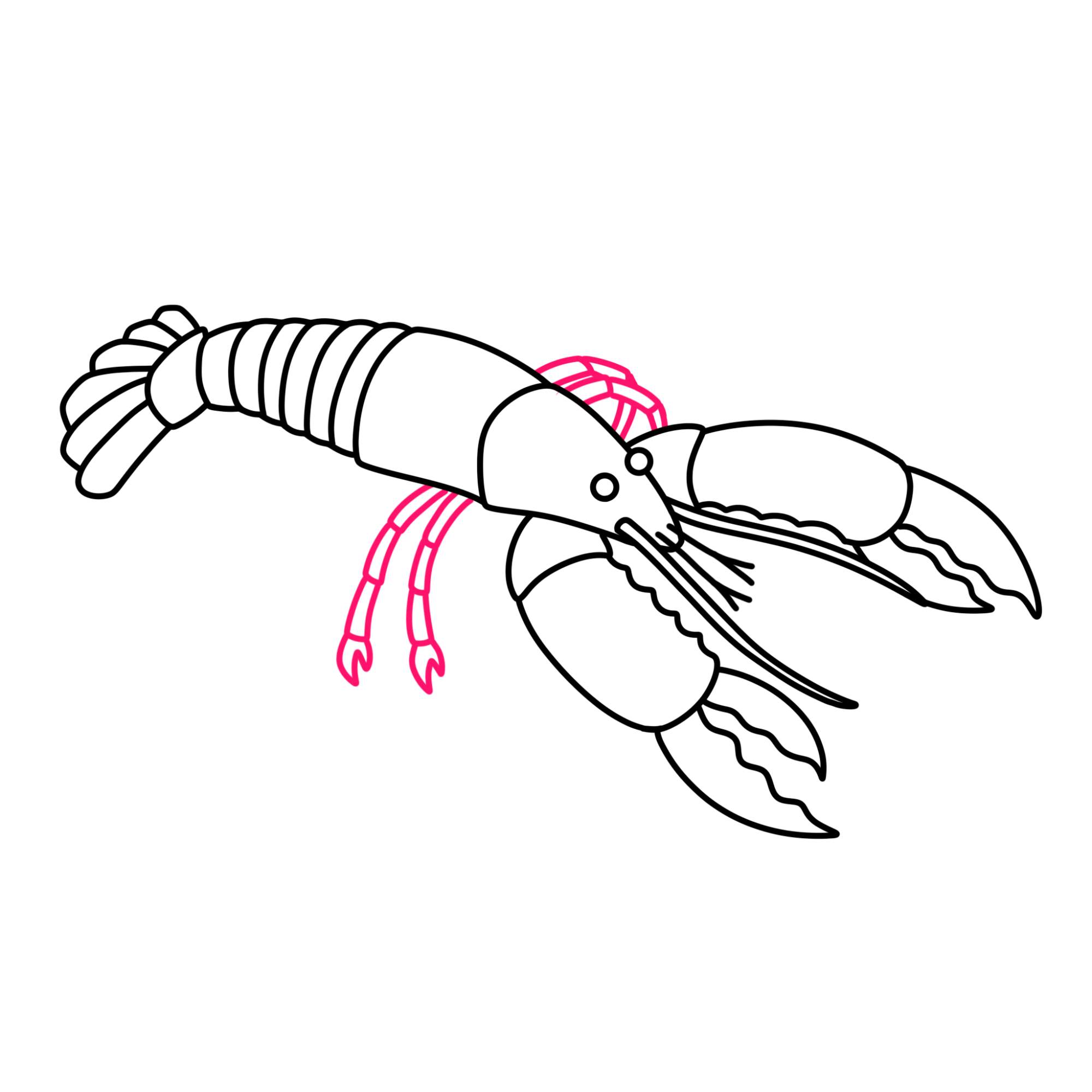 Lobster Drawing - Step-12