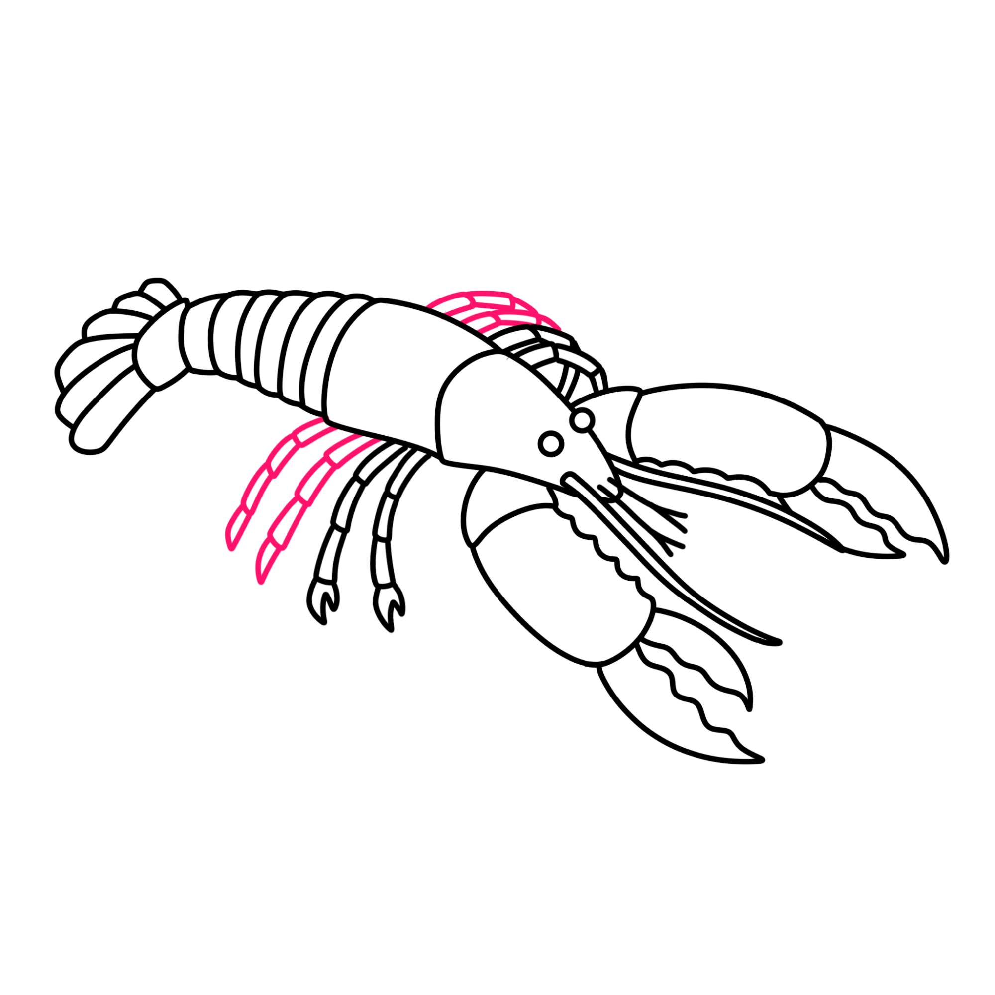 Lobster Drawing - Step-13