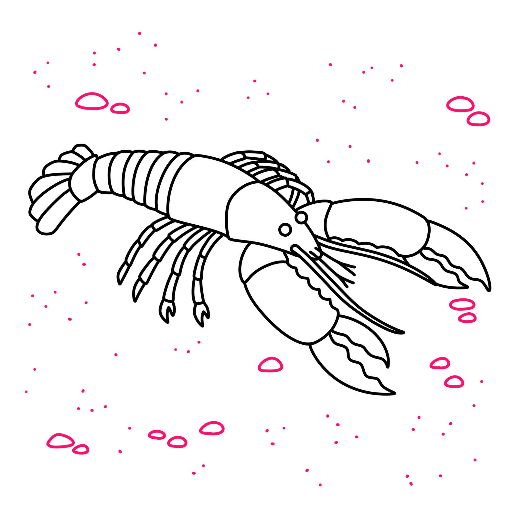 Lobster Drawing - Step-14