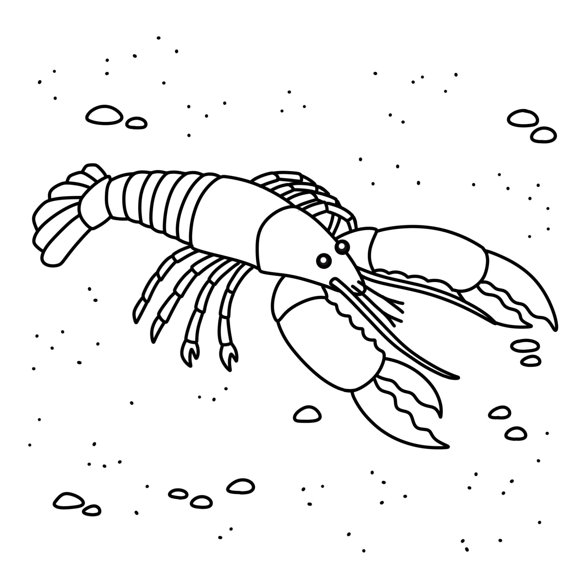 Lobster Drawing - Step-15