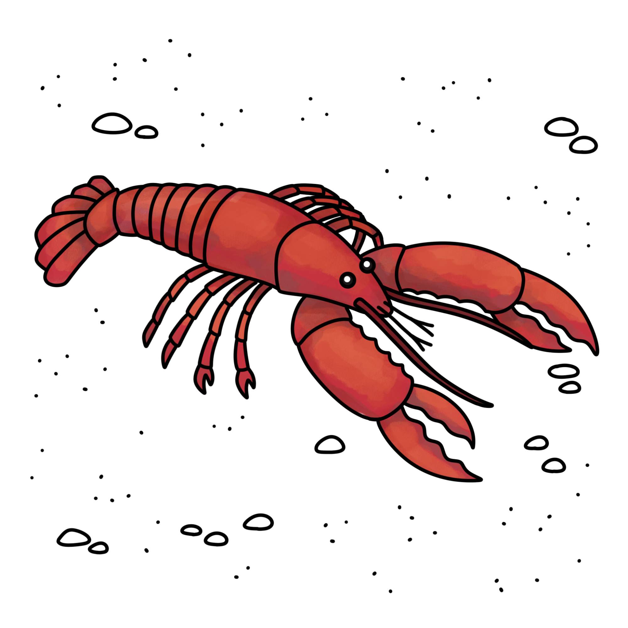 Lobster Drawing - Step-16